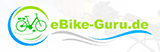 Mit Rechnungskauf bei EBike Guru einkaufen