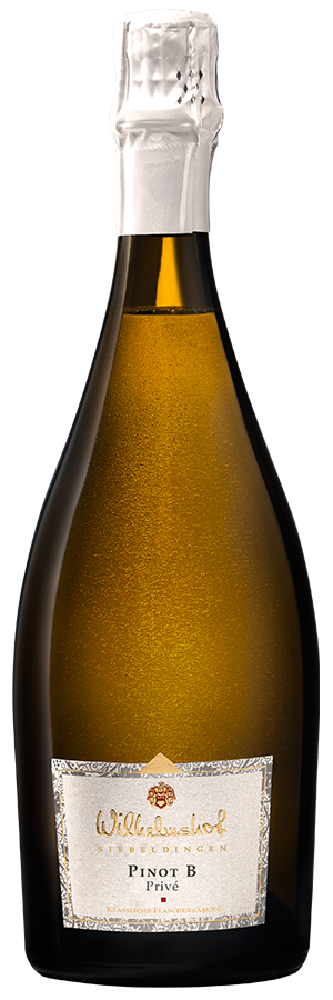 Pinot B Brut Sekt (2019) - Wilhelmshof - Schaumwein aus der Pfalz, Deutschland