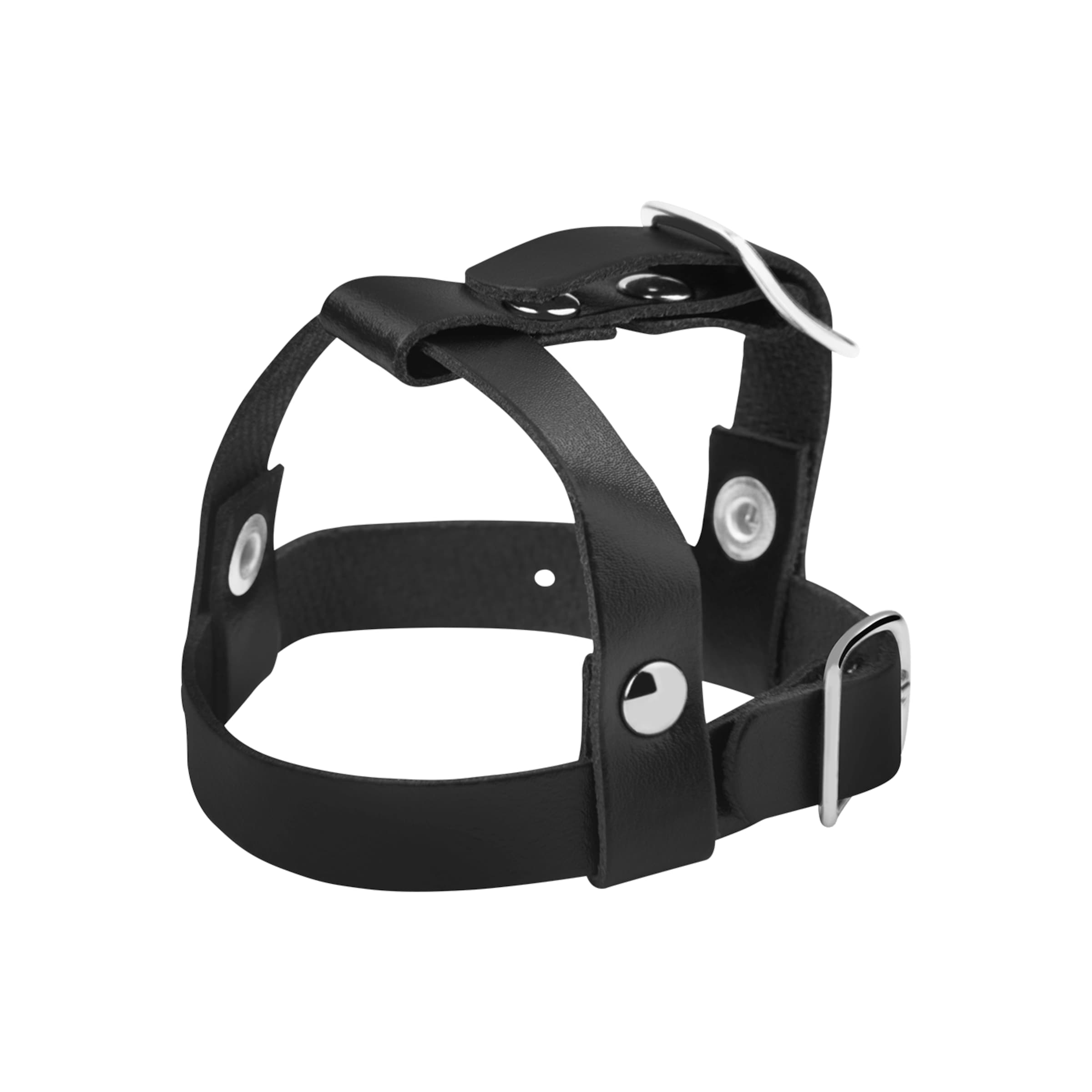 Penis- und Hodengurt aus Leder