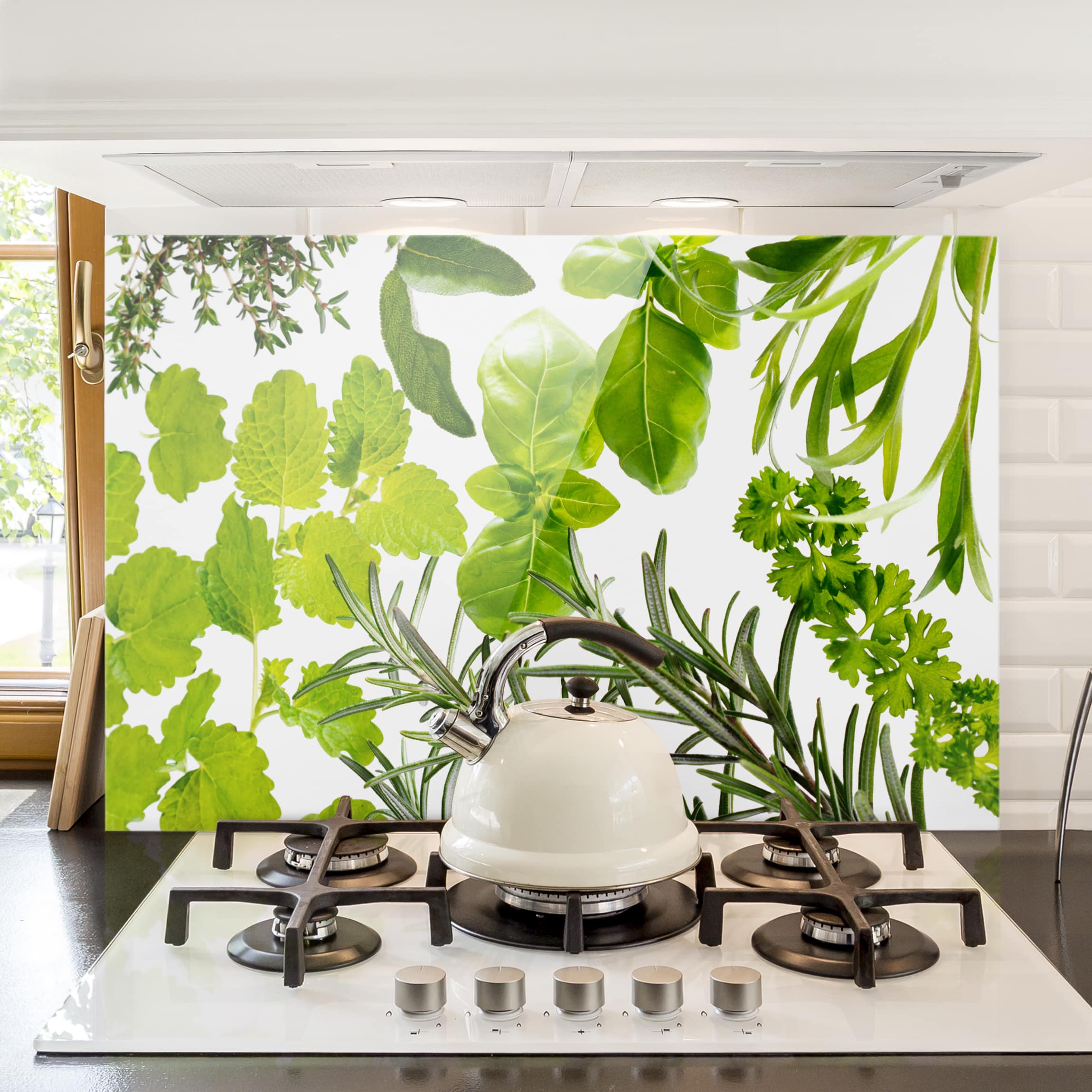 Glas Spritzschutz - Querformat 3:2 Verschiedene Kräuter