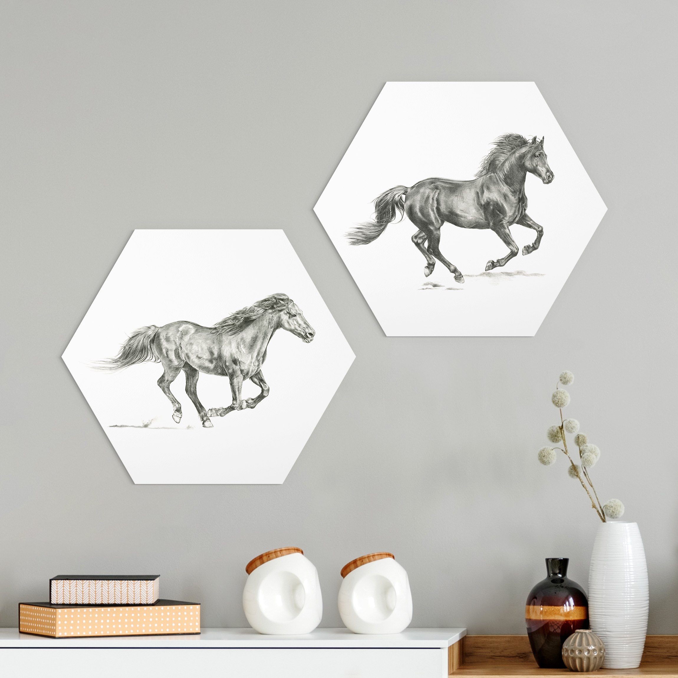 2-teiliges Hexagon-Alu-Dibond Bild Wildpferd-Studie Set I