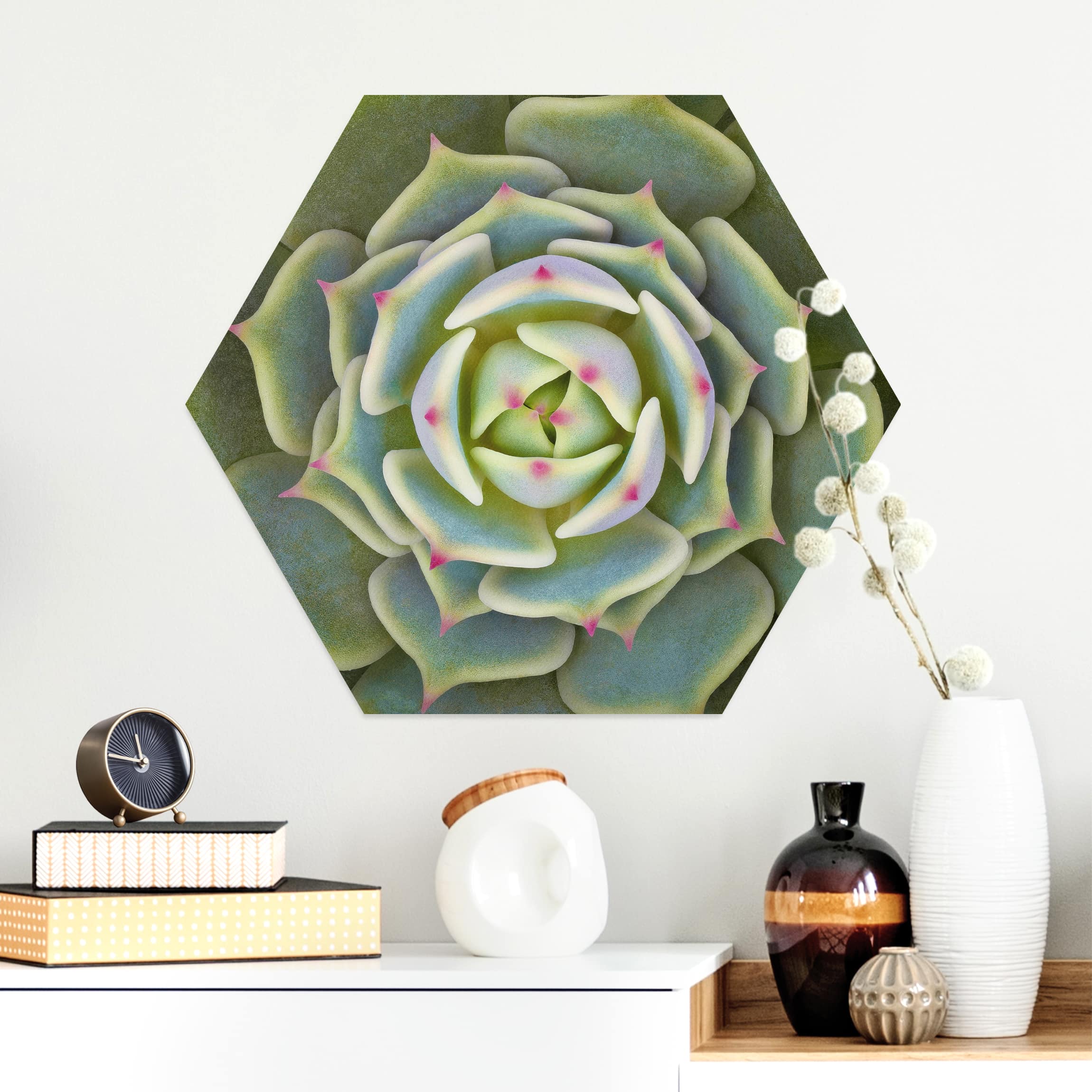 Hexagon-Alu-Dibond Bild Sukkulente - Echeveria Ben Badis
