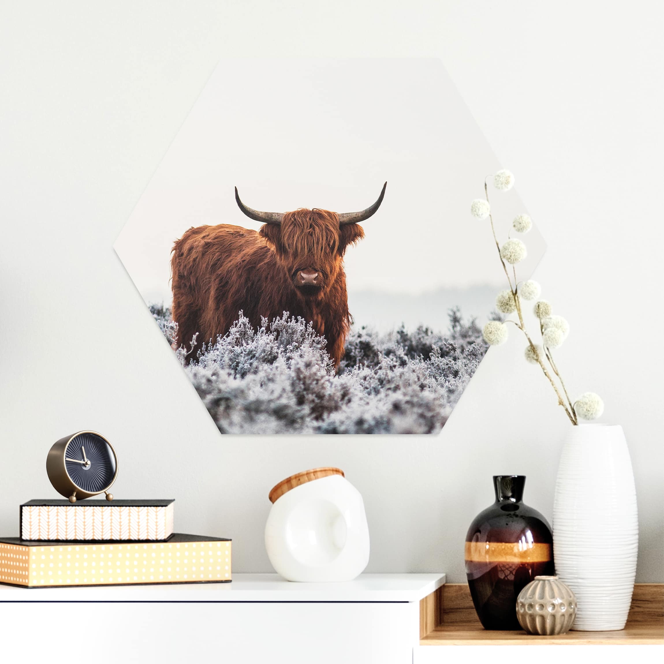 Hexagon-Alu-Dibond Bild Bison in den Highlands
