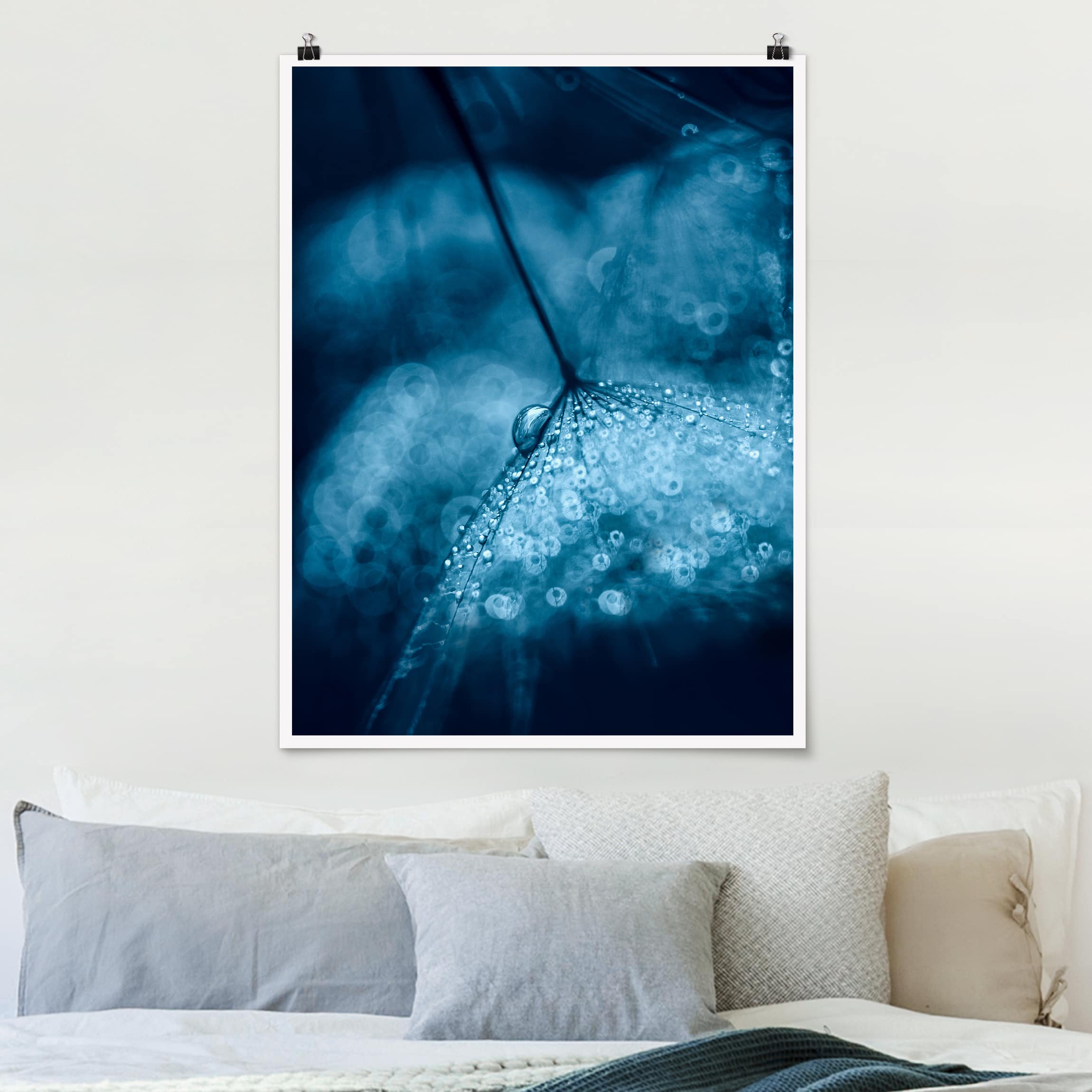 Poster Matt inkl. Posterklammern Blaue Pusteblume im Regen