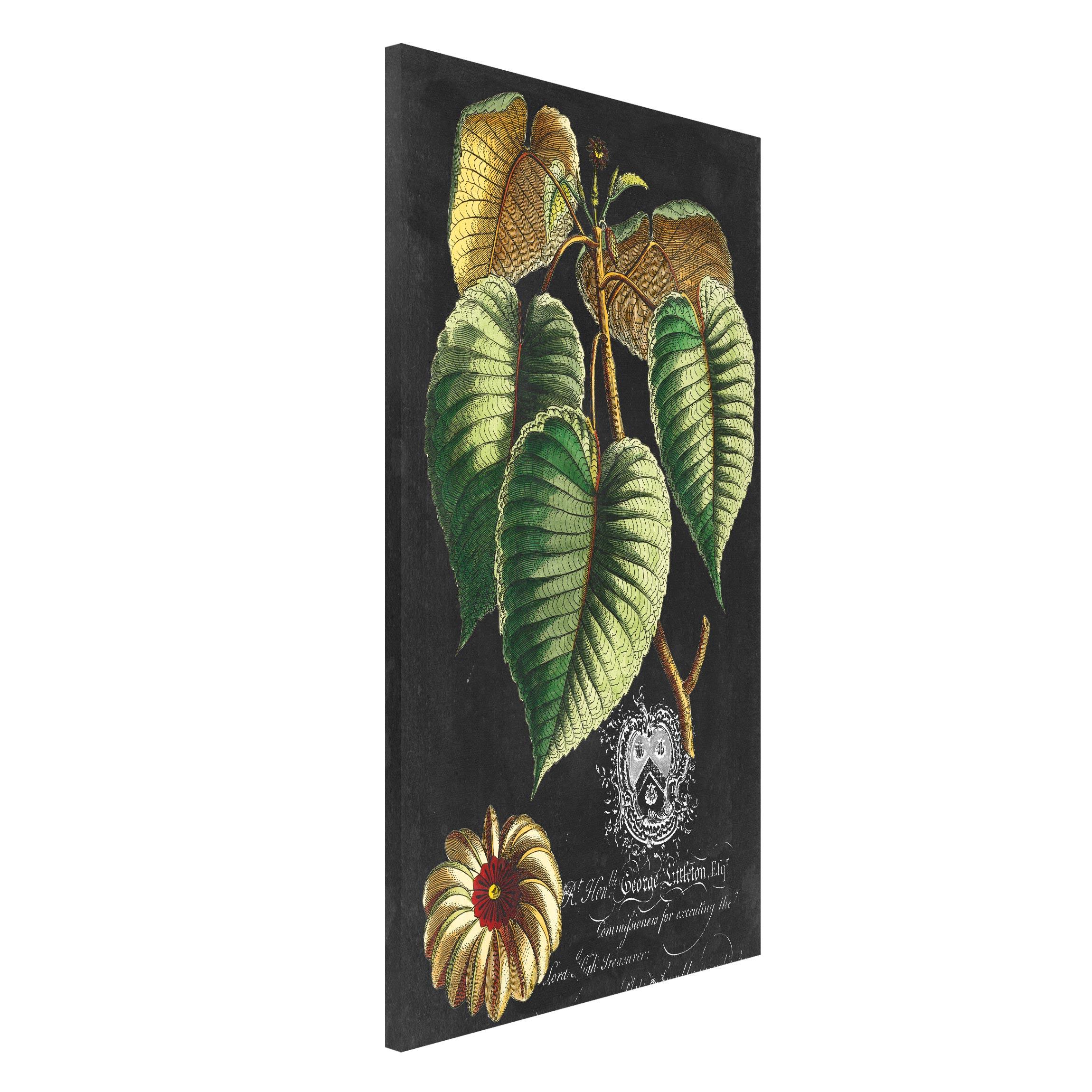 Magnettafel - Hochformat 3:4 Vintage Royales Blattwerk auf Schwarz I