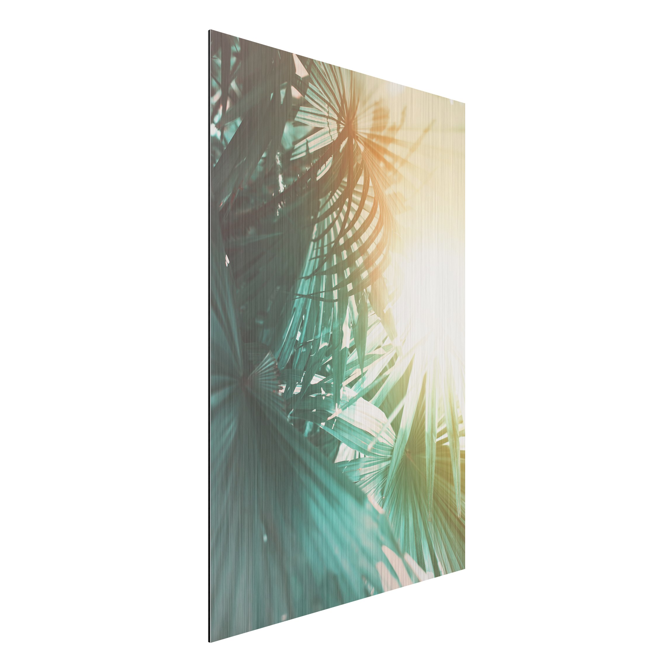 Alu-Dibond Bild Tropische Pflanzen Palmen bei Sonnenuntergang