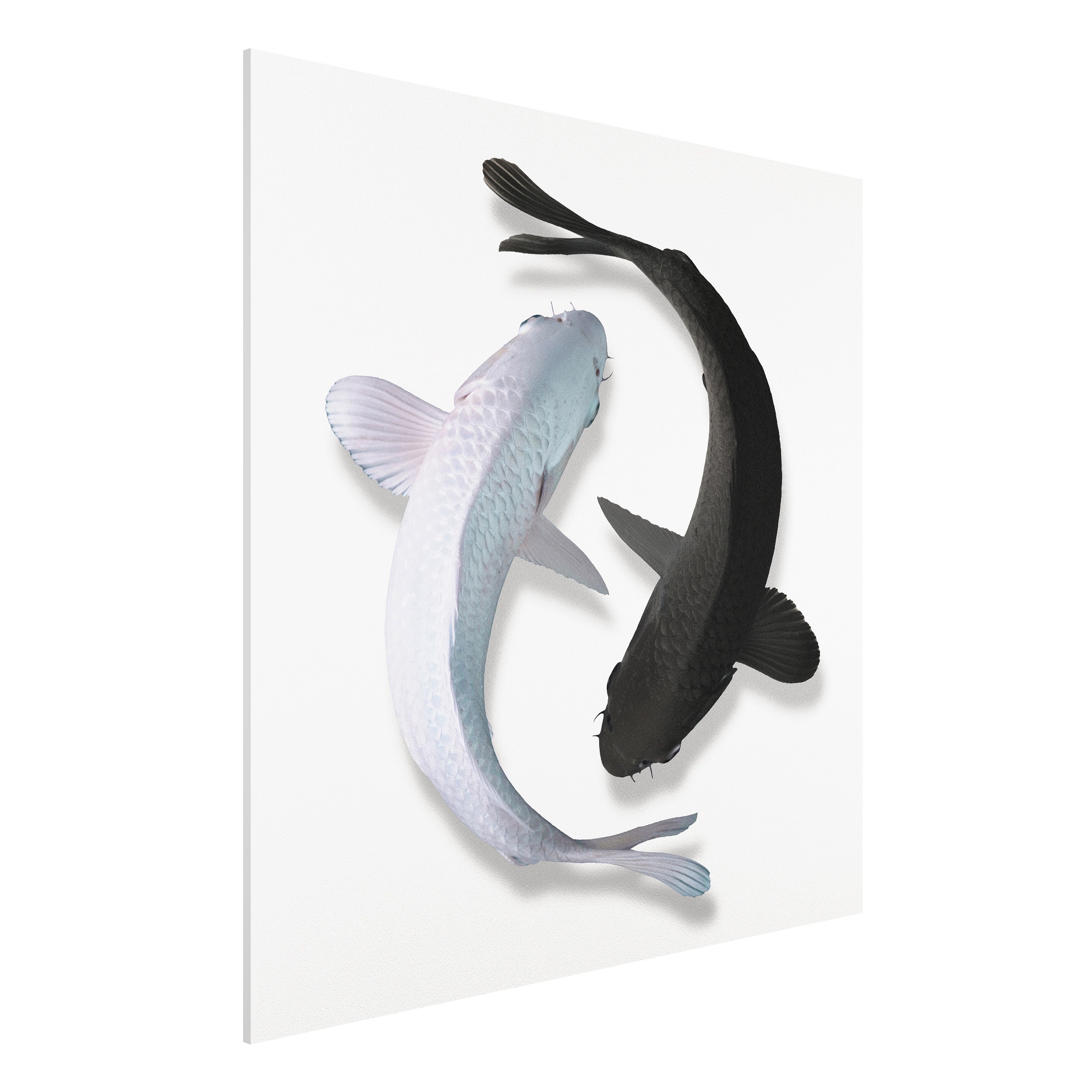 Forexbild Fische Ying & Yang