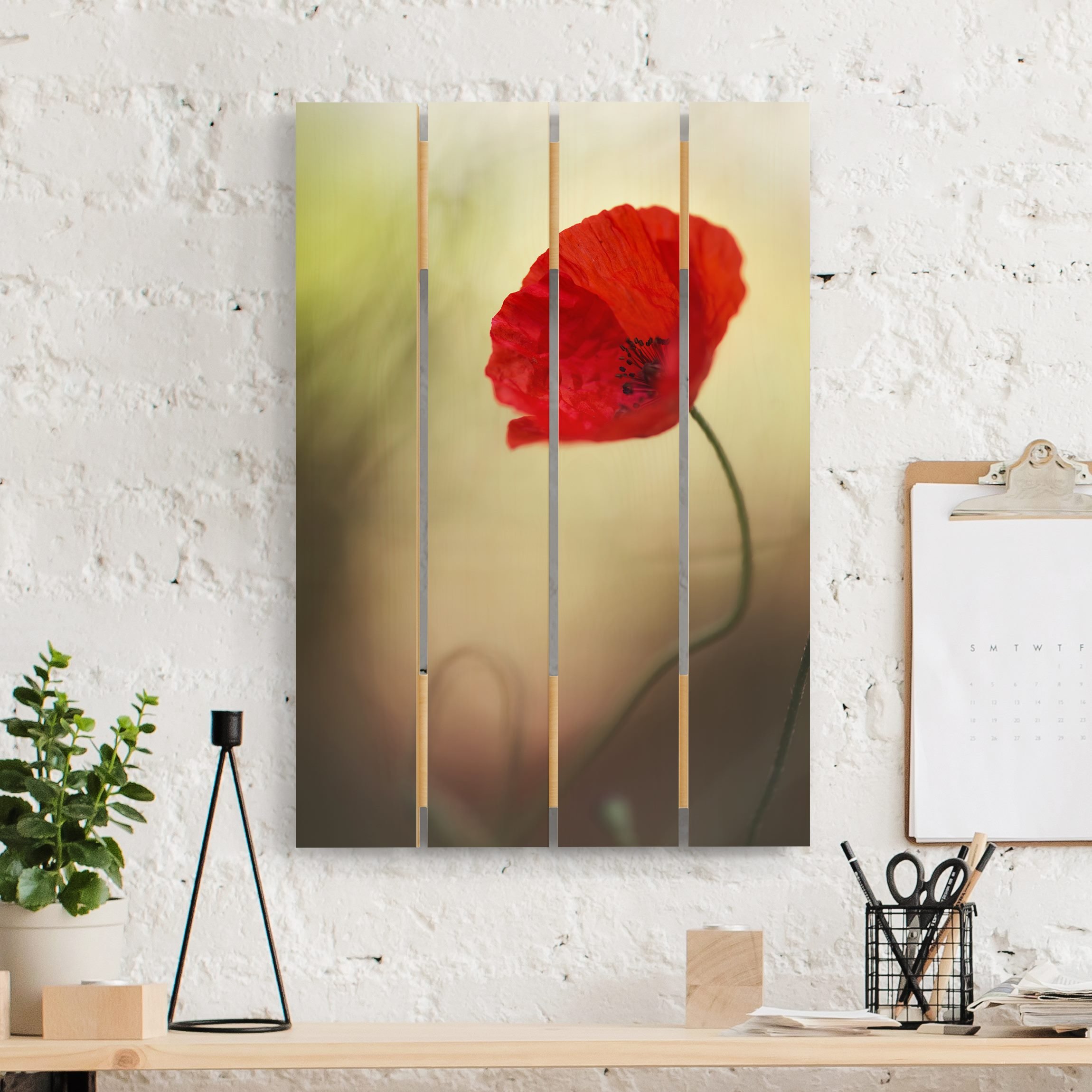 Holzbild Plankenoptik - Hochformat Mohnblüte im Garten