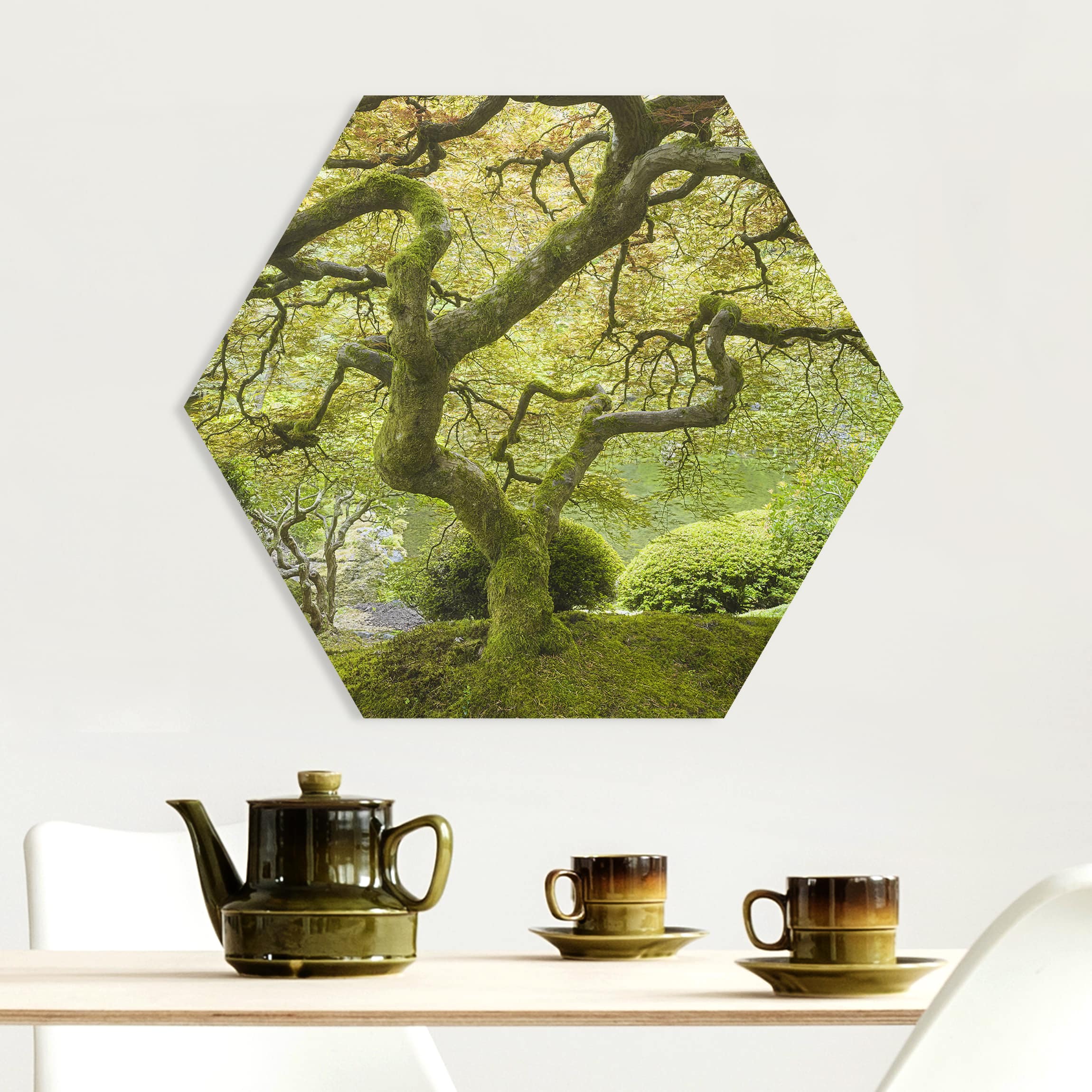 Hexagon-Forexbild Grüner Japanischer Garten