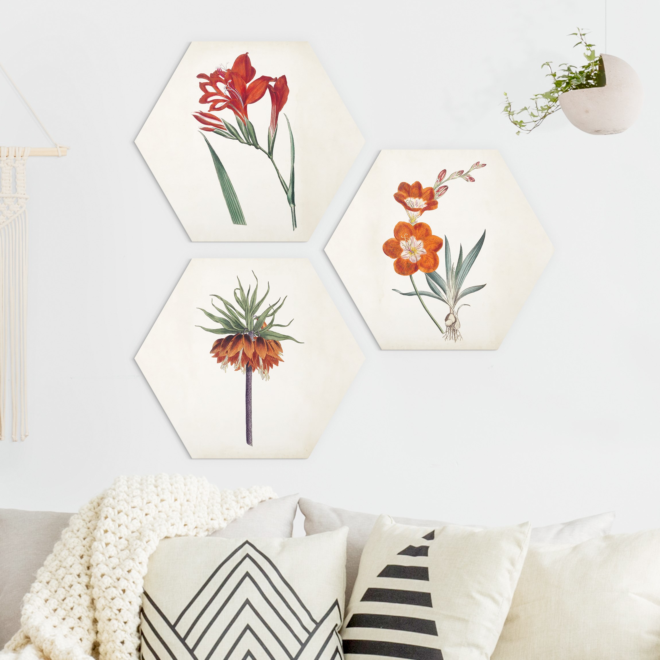 3-teiliges Hexagon-Alu-Dibond Bild Gartenschönheit Set II