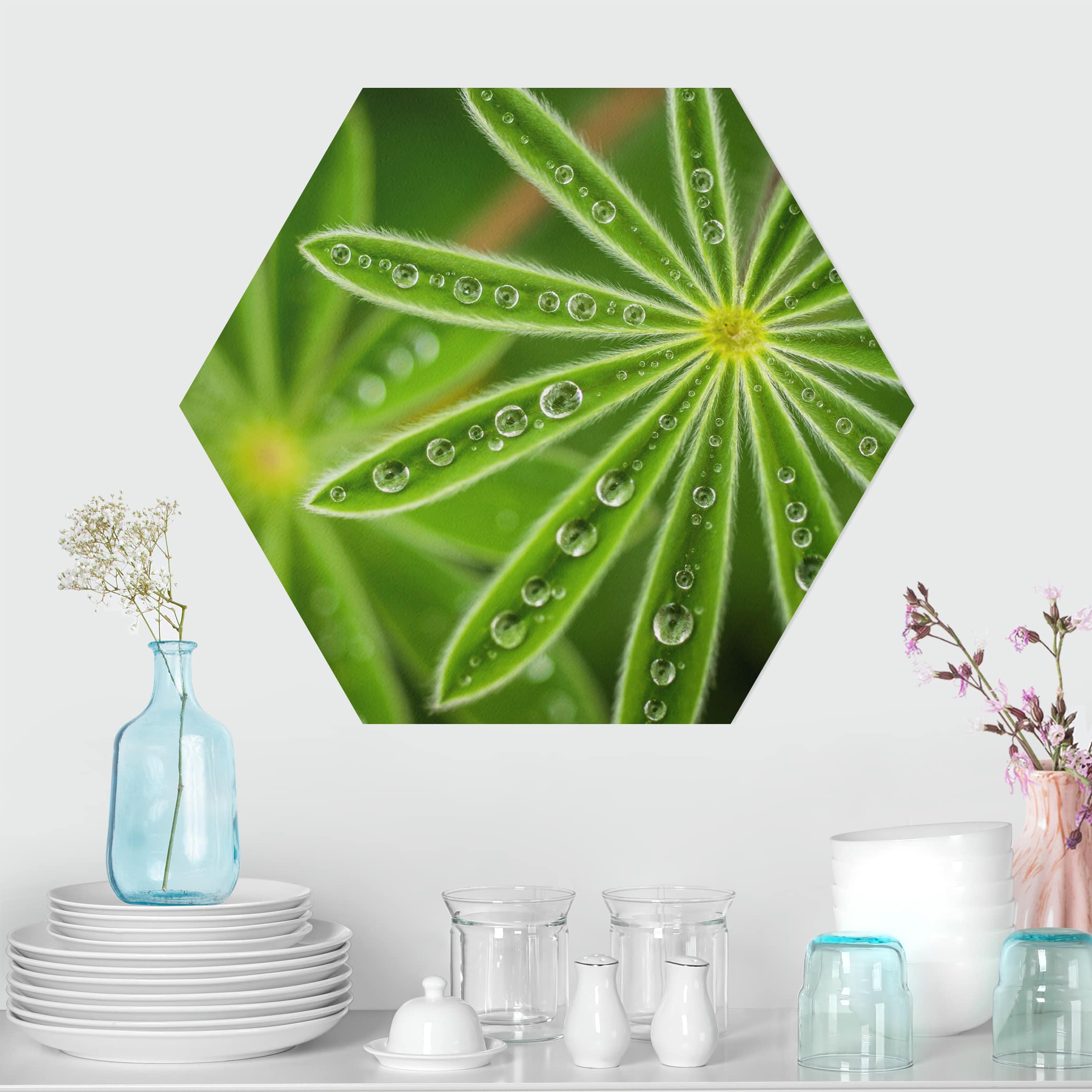 Hexagon-Alu-Dibond Bild Morgentau auf Lupinenblättern