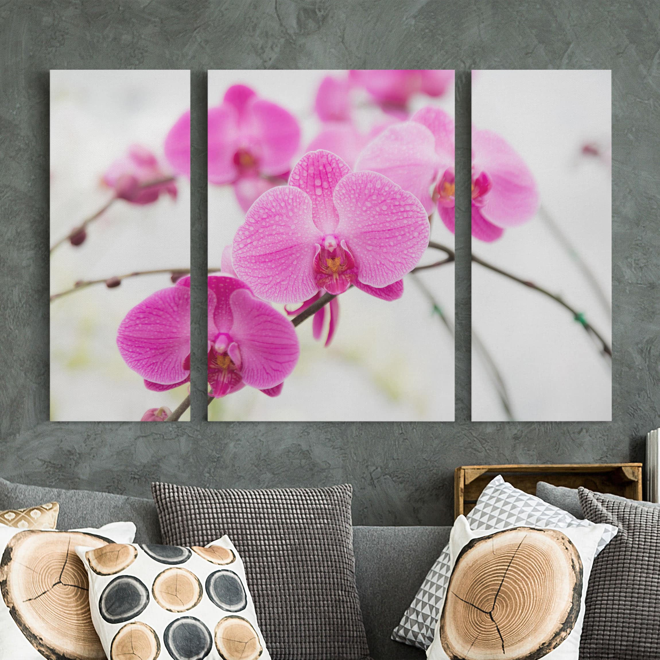 3-teiliges Leinwandbild Blumen Nahaufnahme Orchidee