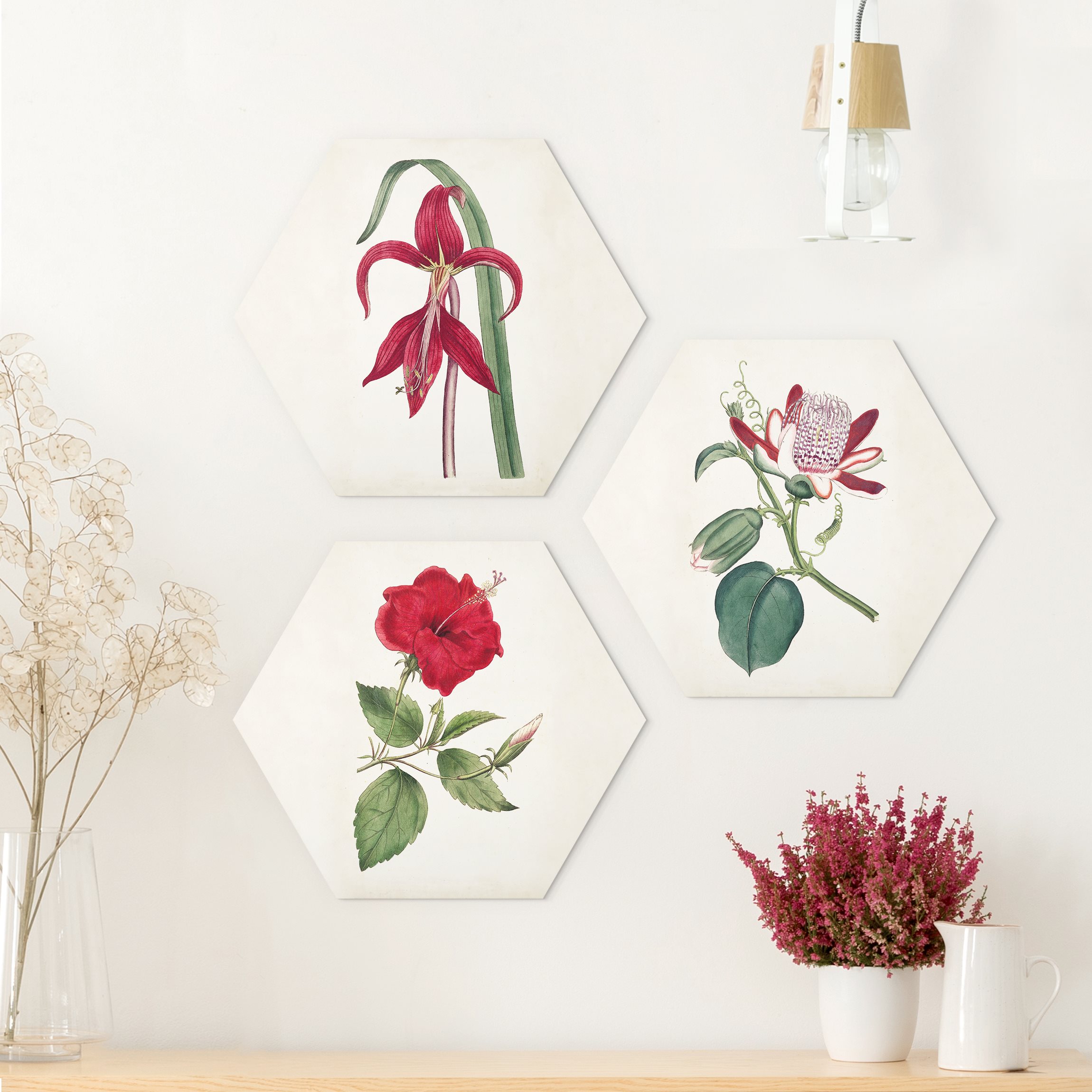 3-teiliges Hexagon-Alu-Dibond Bild Gartenschönheit Set I