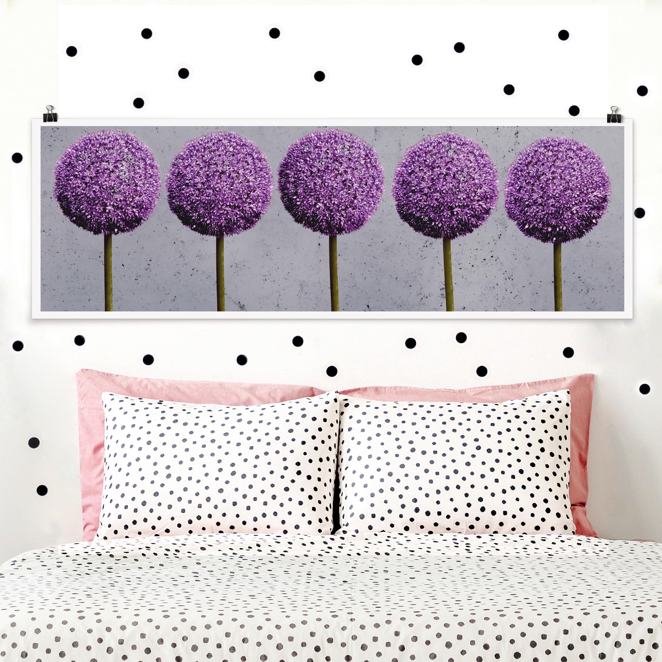 Panorama Poster Allium Kugel-Blüten