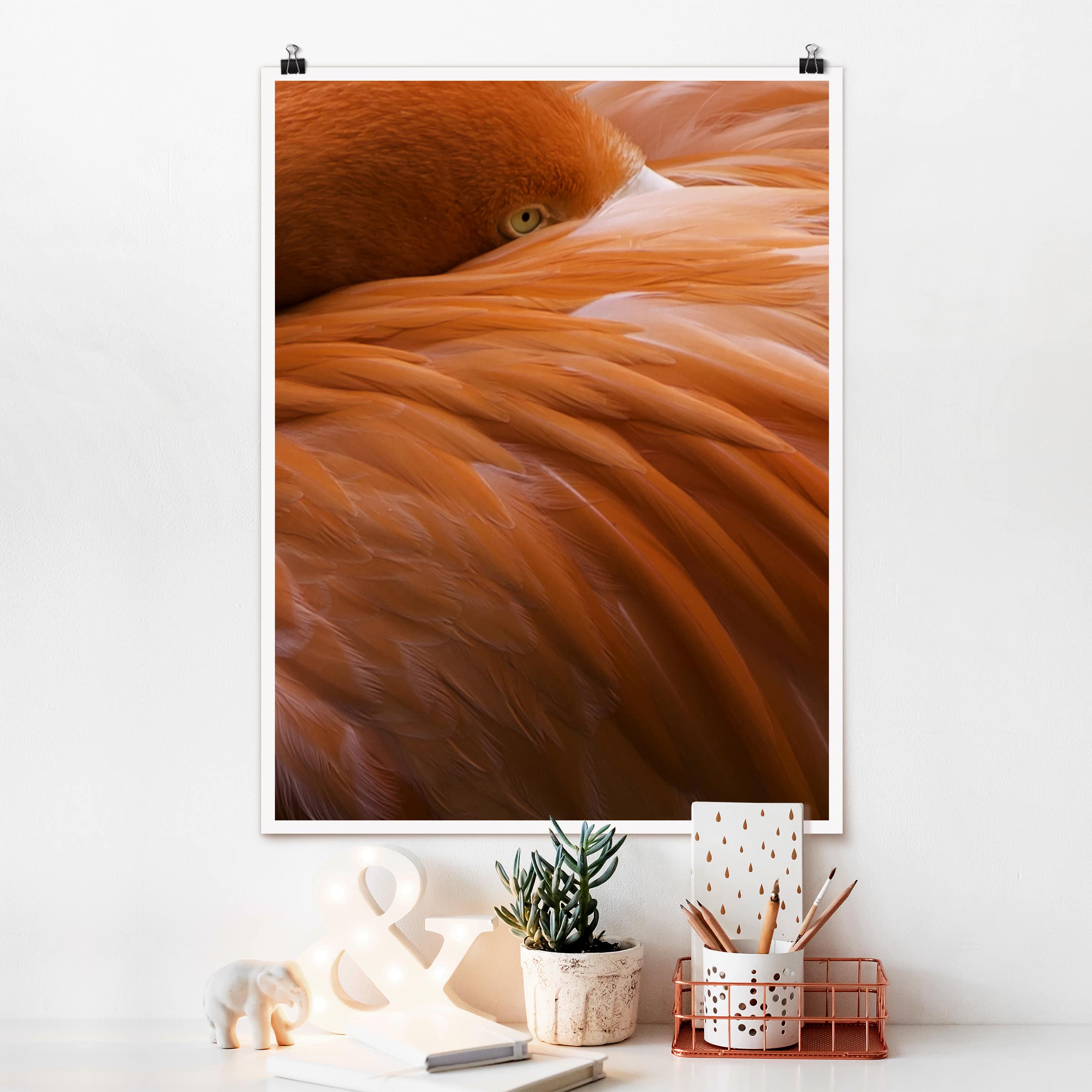 Poster Tiere Flamingofedern