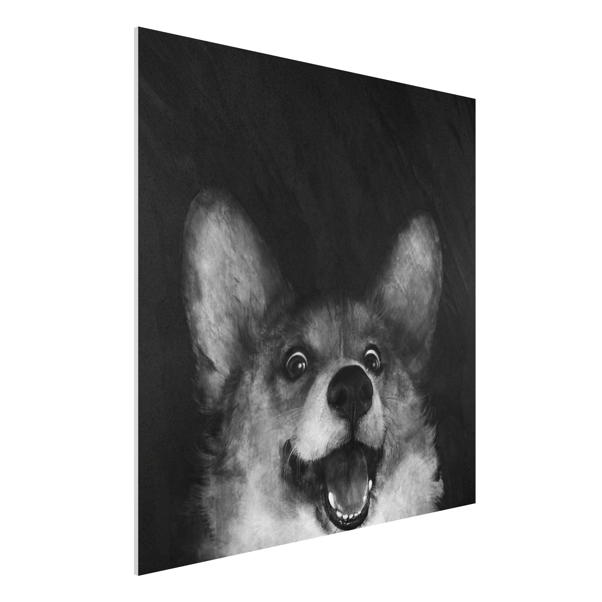 Forexbild Illustration Hund Corgi Malerei Schwarz Weiß