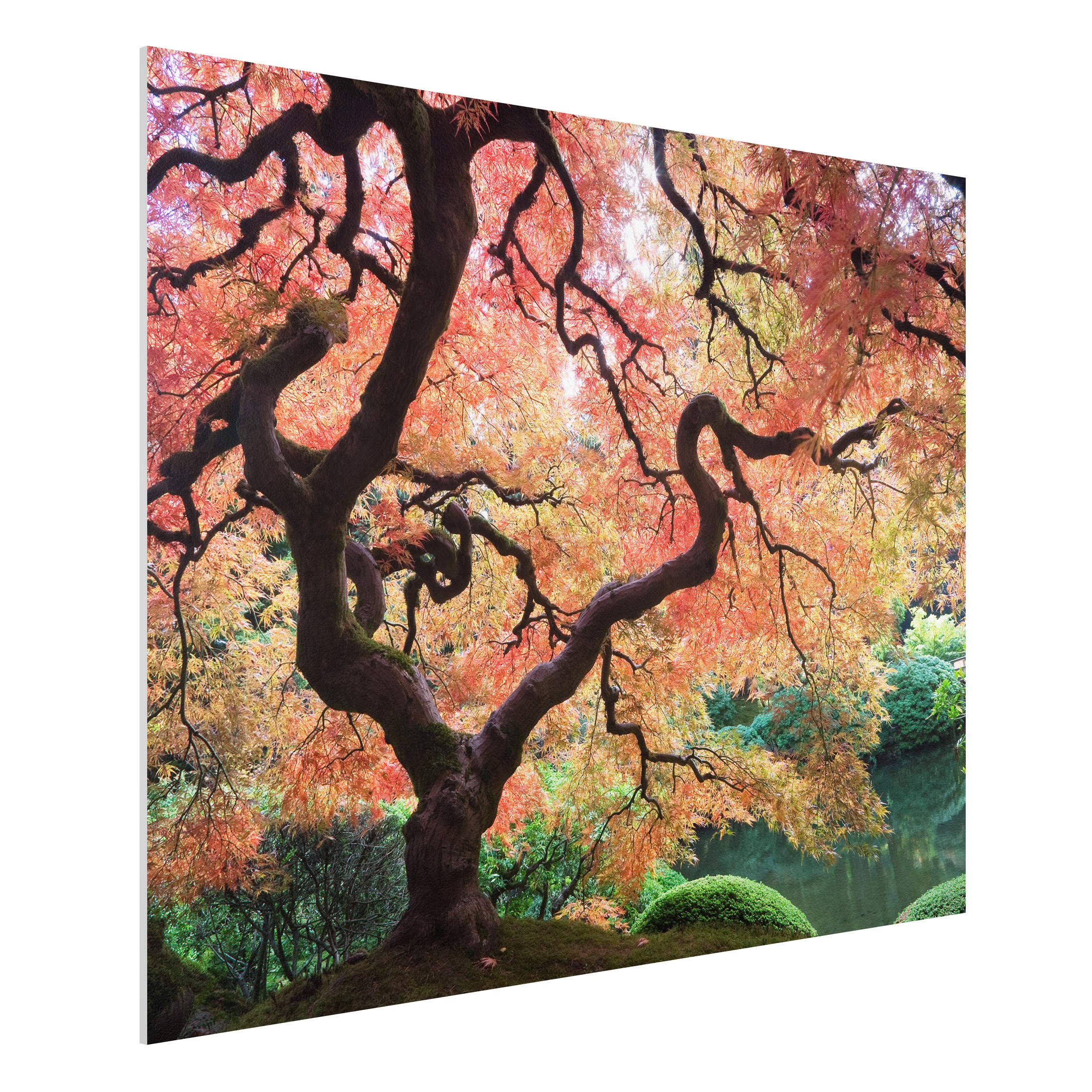 Forexbild - Querformat 4:3 Japanischer Garten