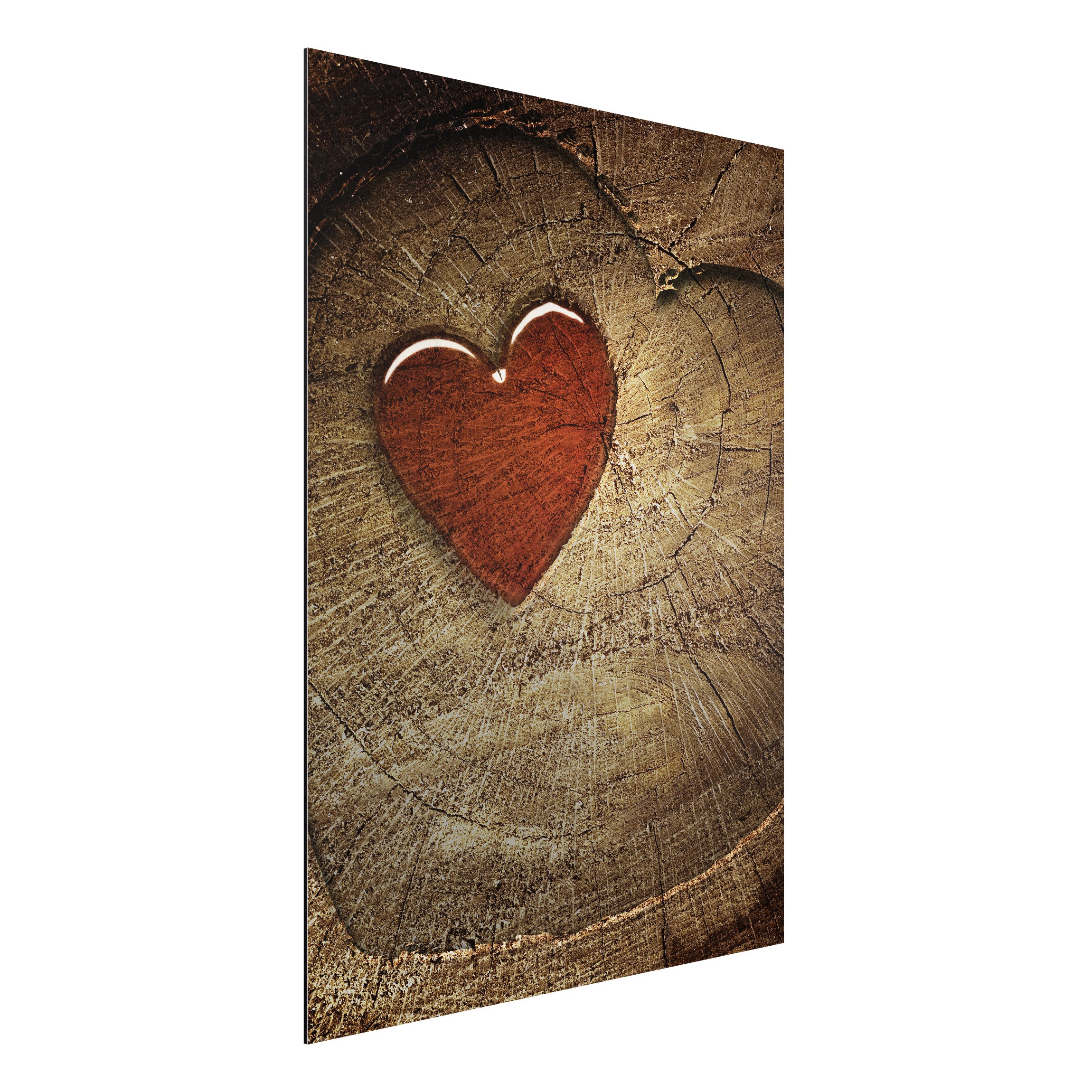 Alu-Dibond Outdoor Bild Natural Love
