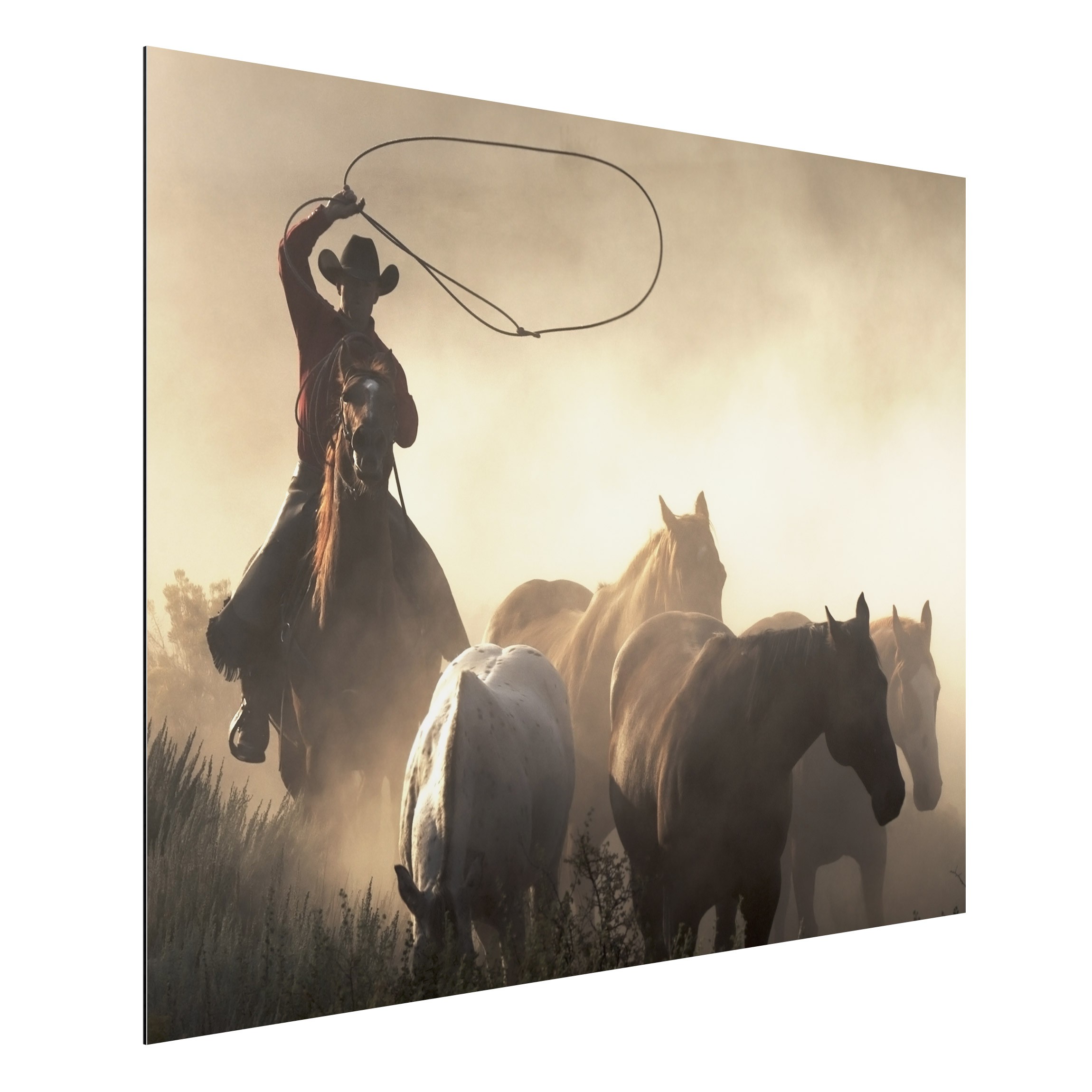 Alu-Dibond Outdoor Bild Cowboy Silhouette