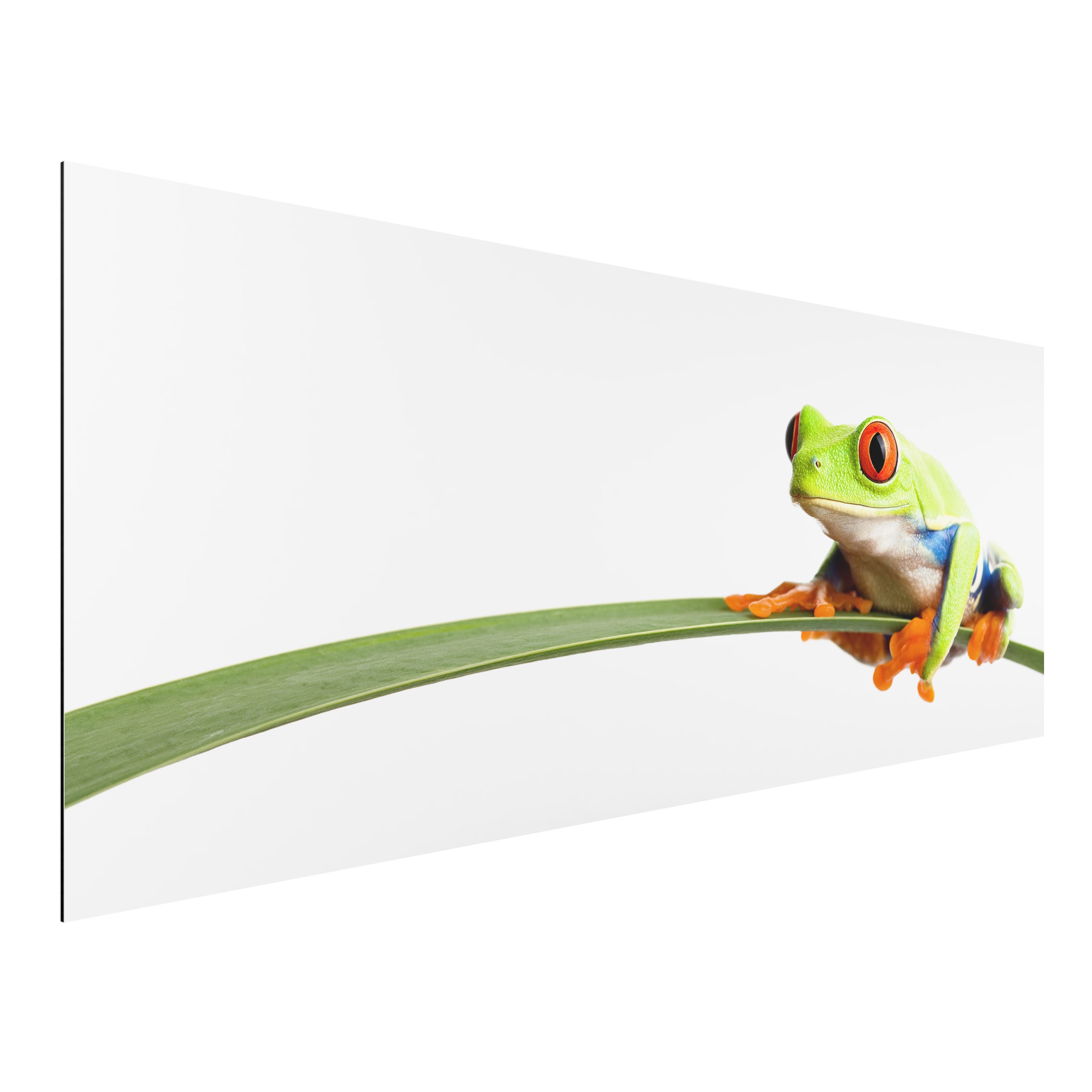 Alu-Dibond Outdoor Bild Weatherman