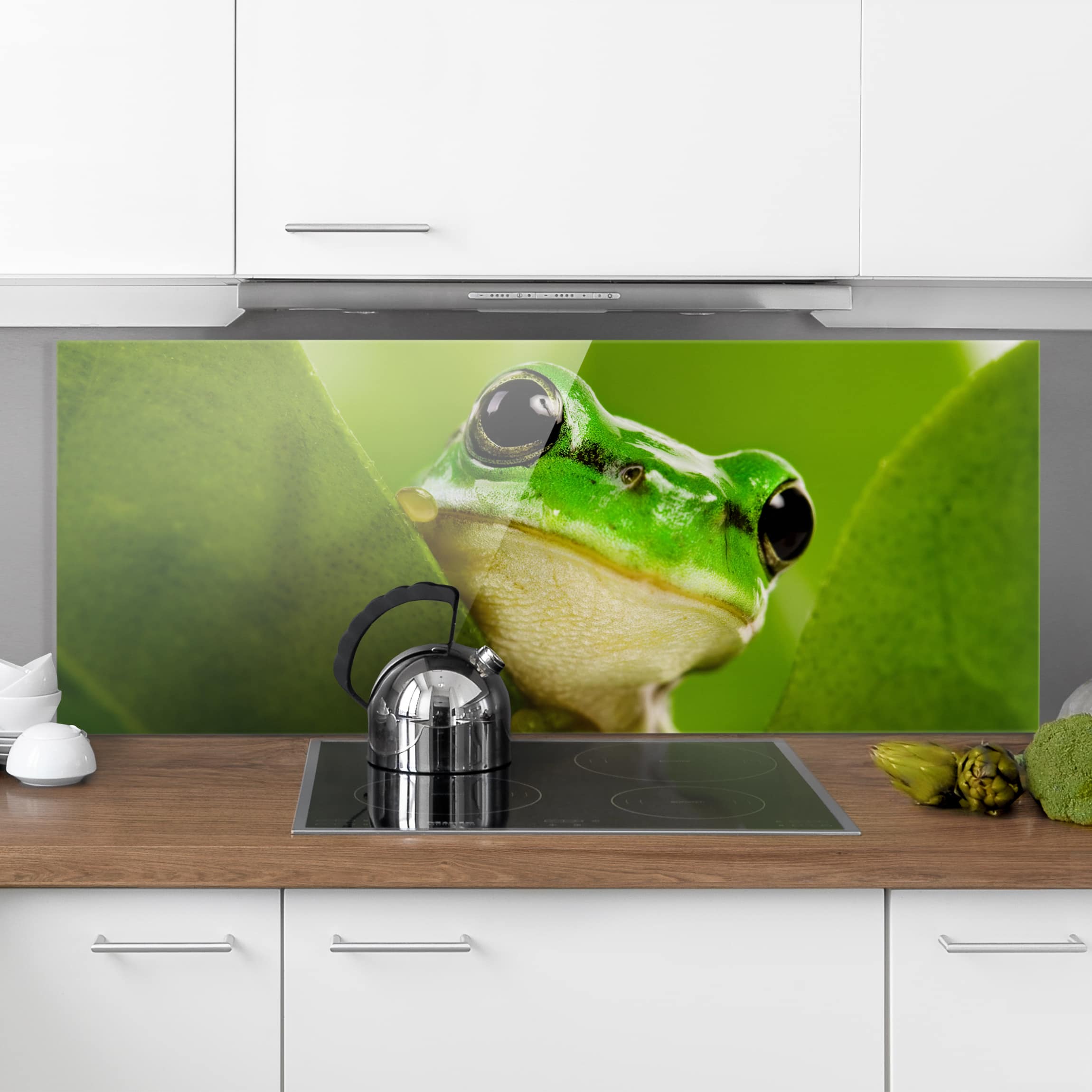 Glas Spritzschutz Wetterfrosch
