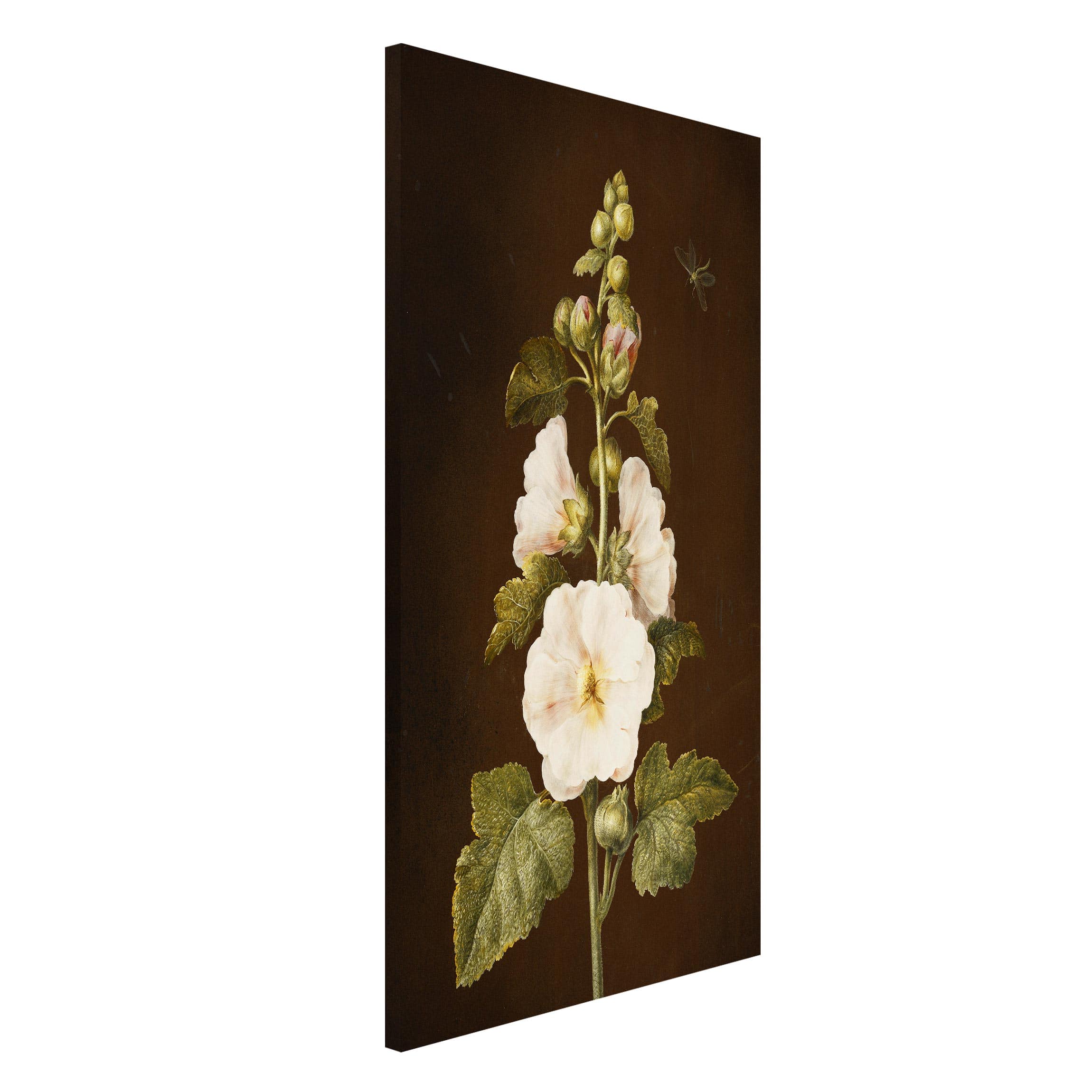 Magnettafel Blumen - Hochformat 3:4 Barbara Regina Dietzsch - Stockrose
