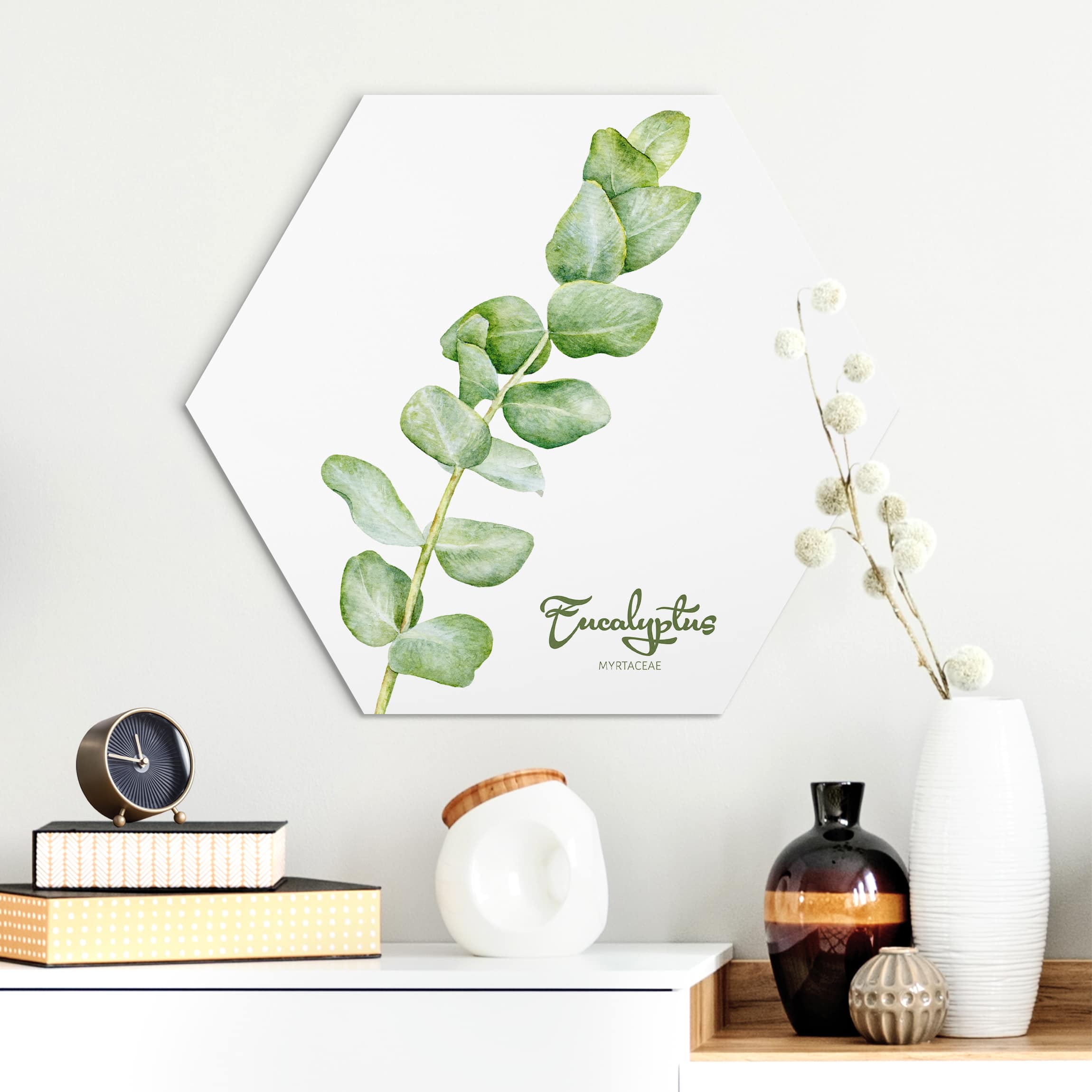 Hexagon-Alu-Dibond Bild Aquarell Botanik Eukalyptus