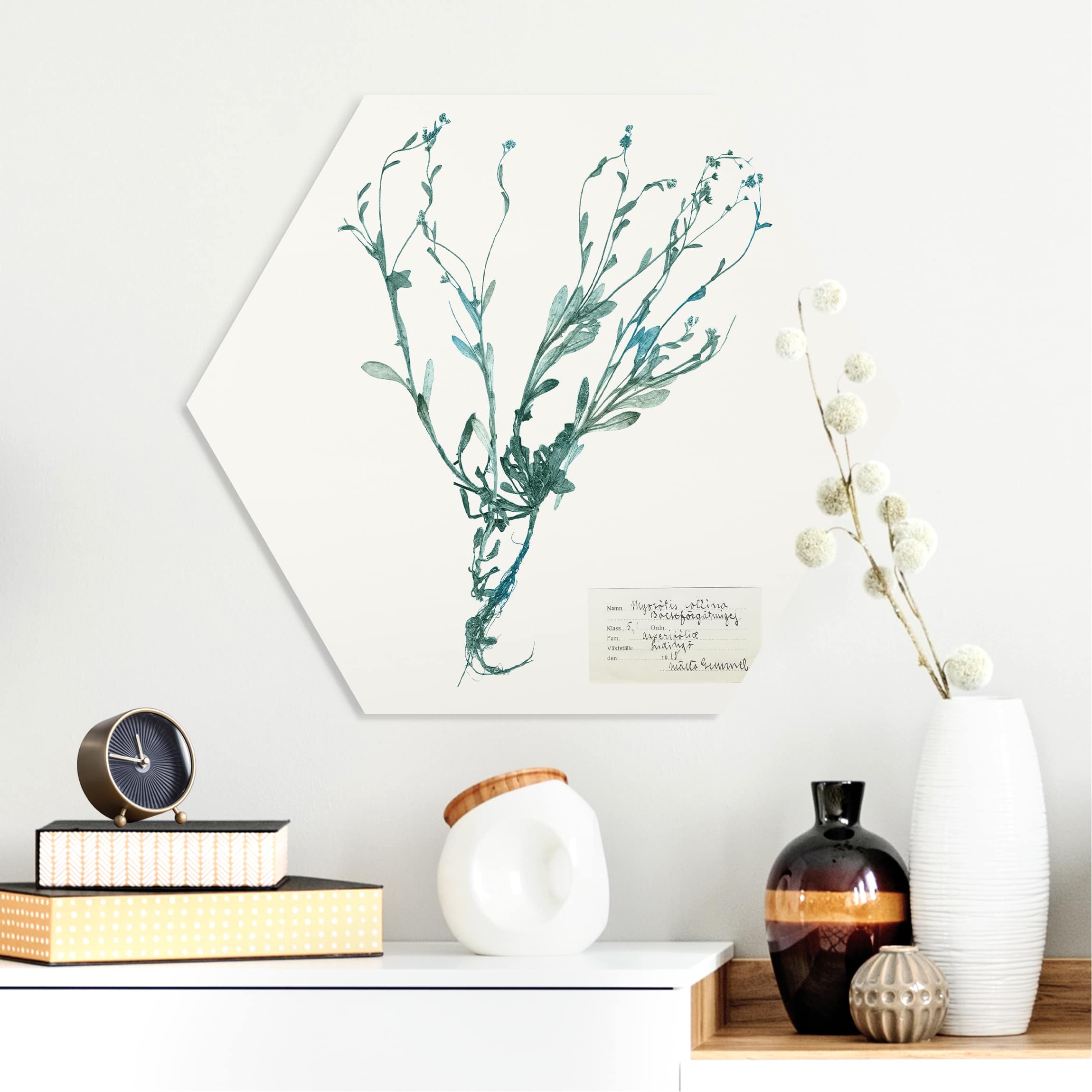 Hexagon-Forexbild Gepresste Blumen - Vergissmeinnicht