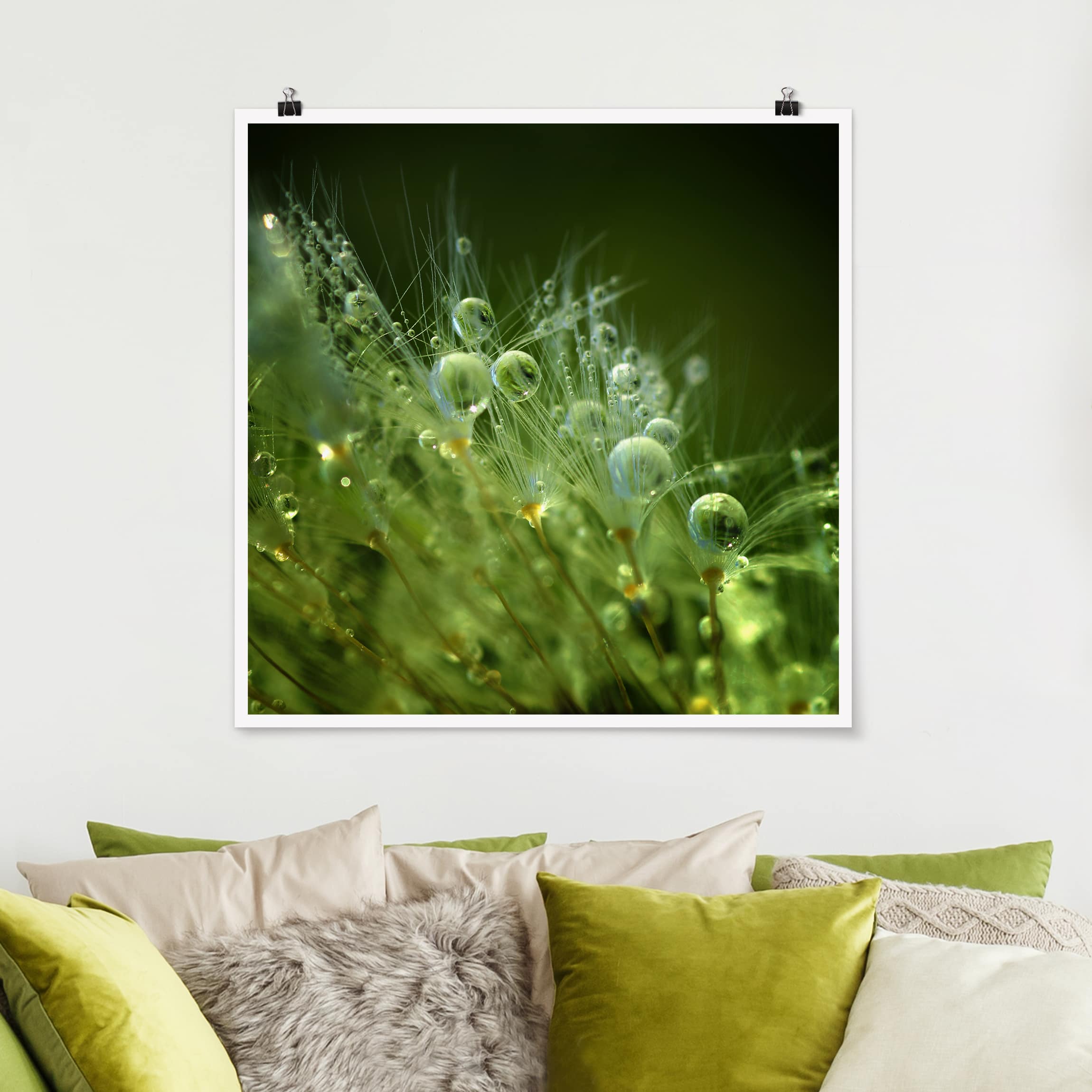 Poster - Quadrat Grüne Samen im Regen