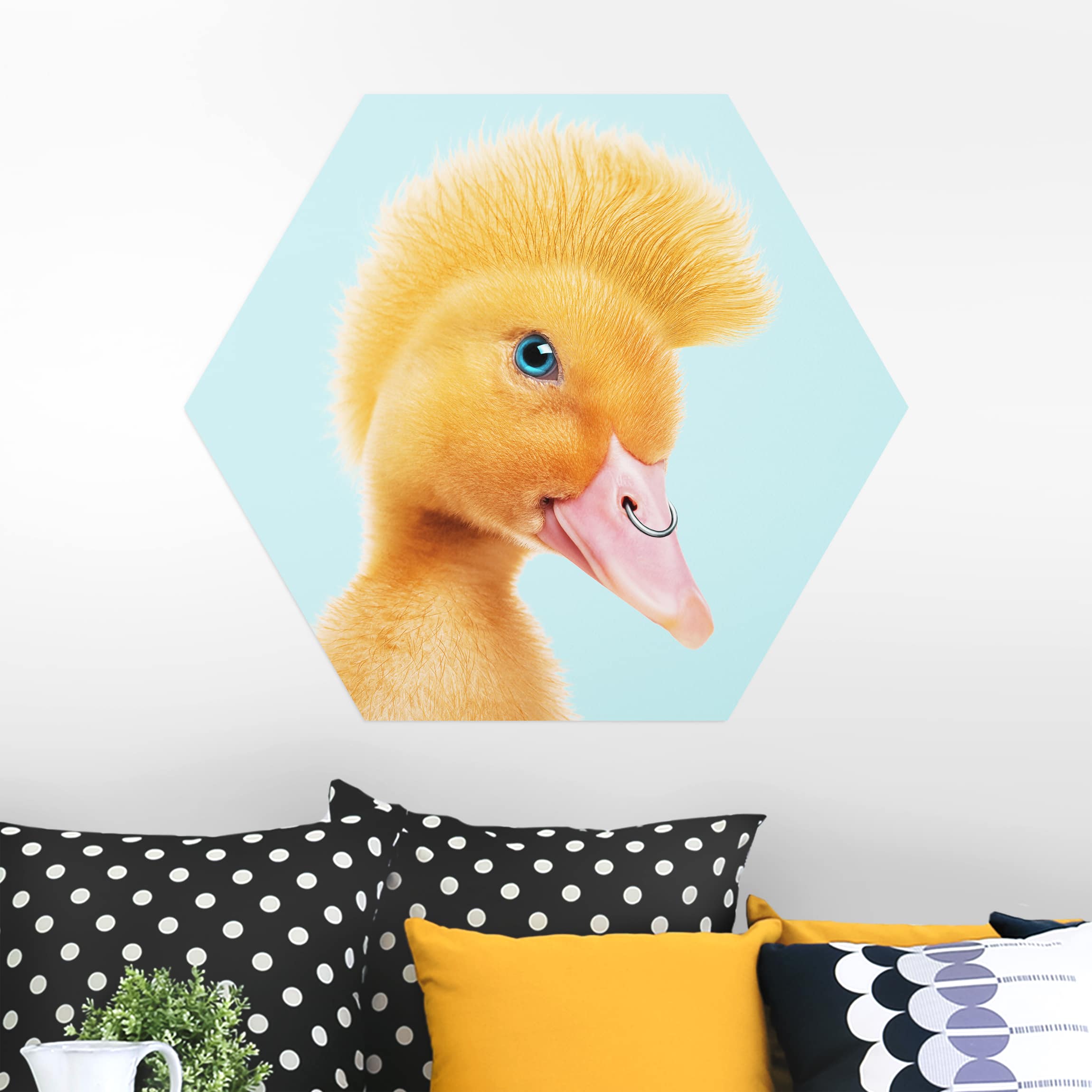 Hexagon-Alu-Dibond Bild Küken mit Piercing