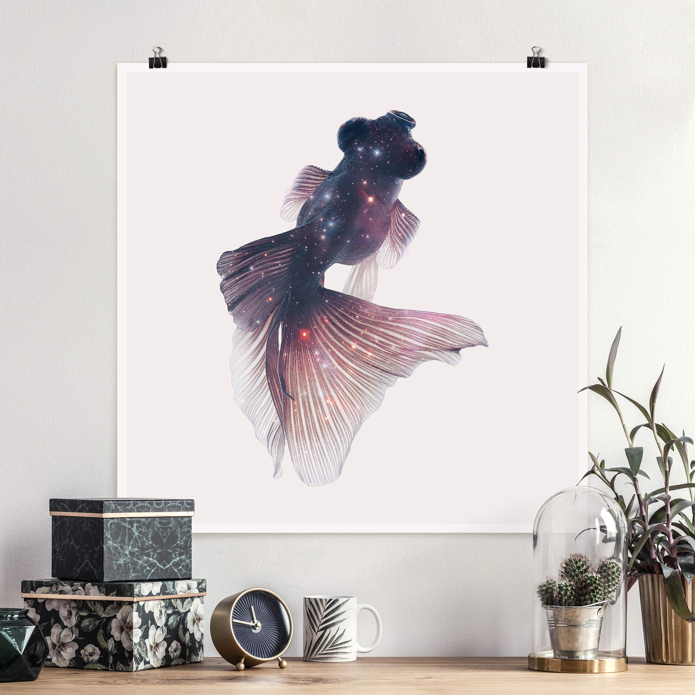 Poster - Quadrat Fisch mit Galaxie