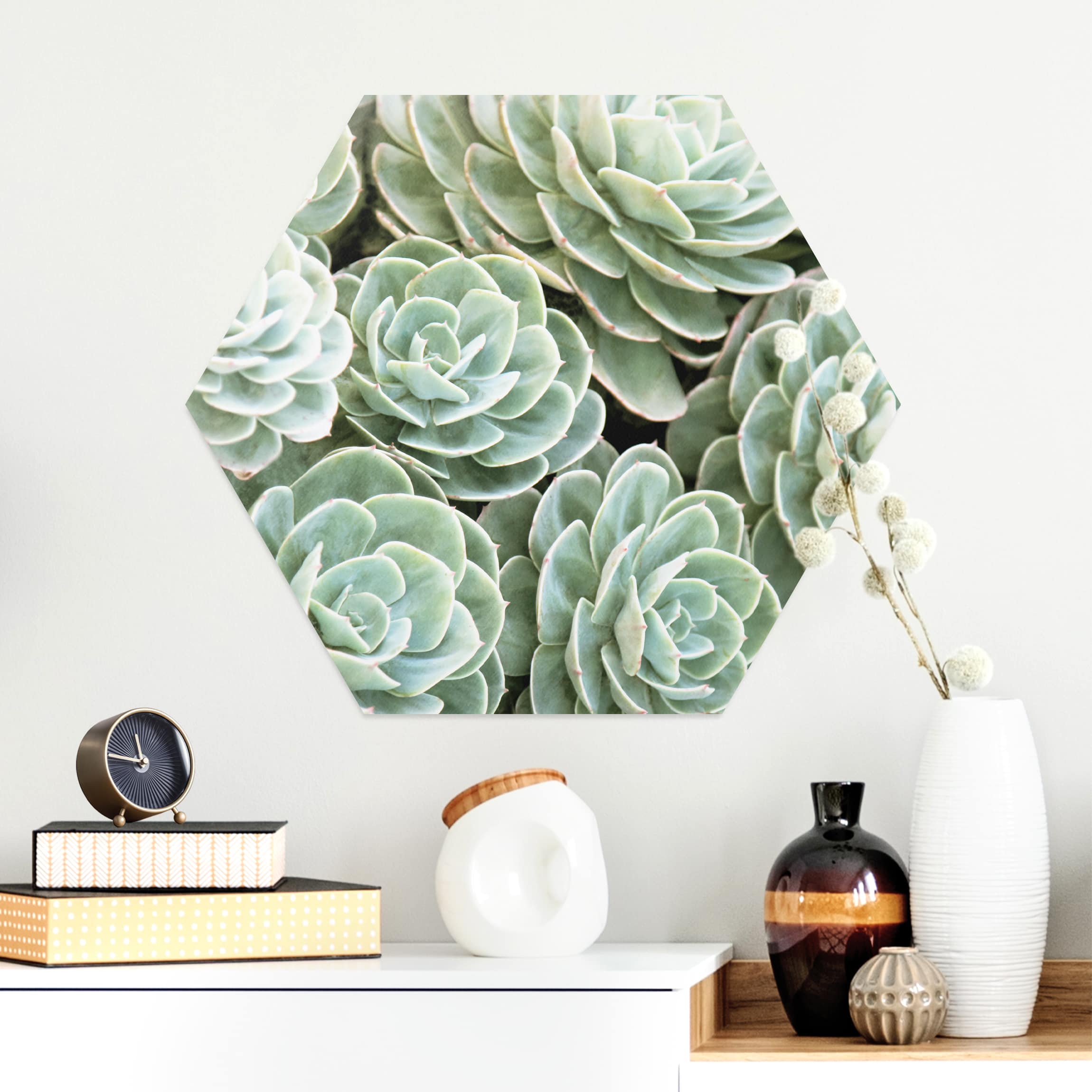 Hexagon-Alu-Dibond Bild Grüne Sukkulenten
