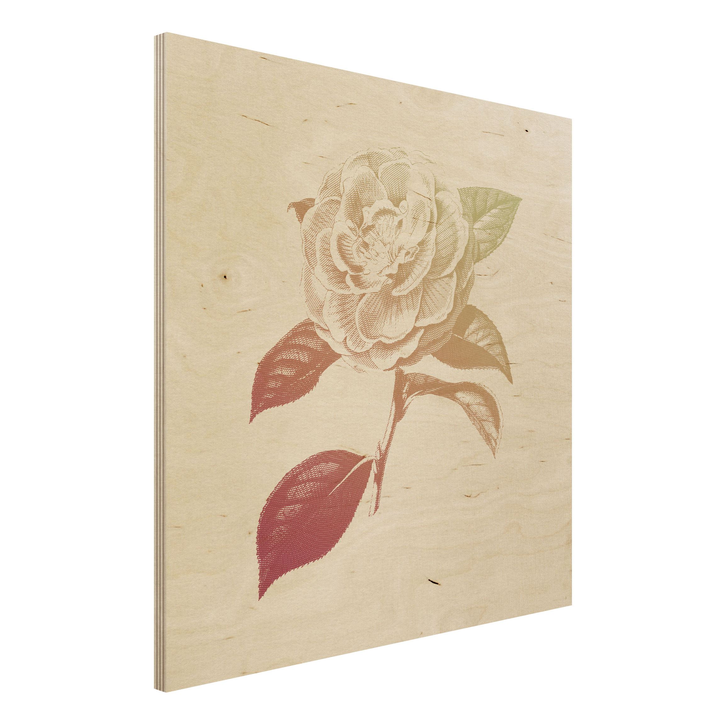 Holzbild - Quadrat Modern Vintage Botanik Rose Rot Grün