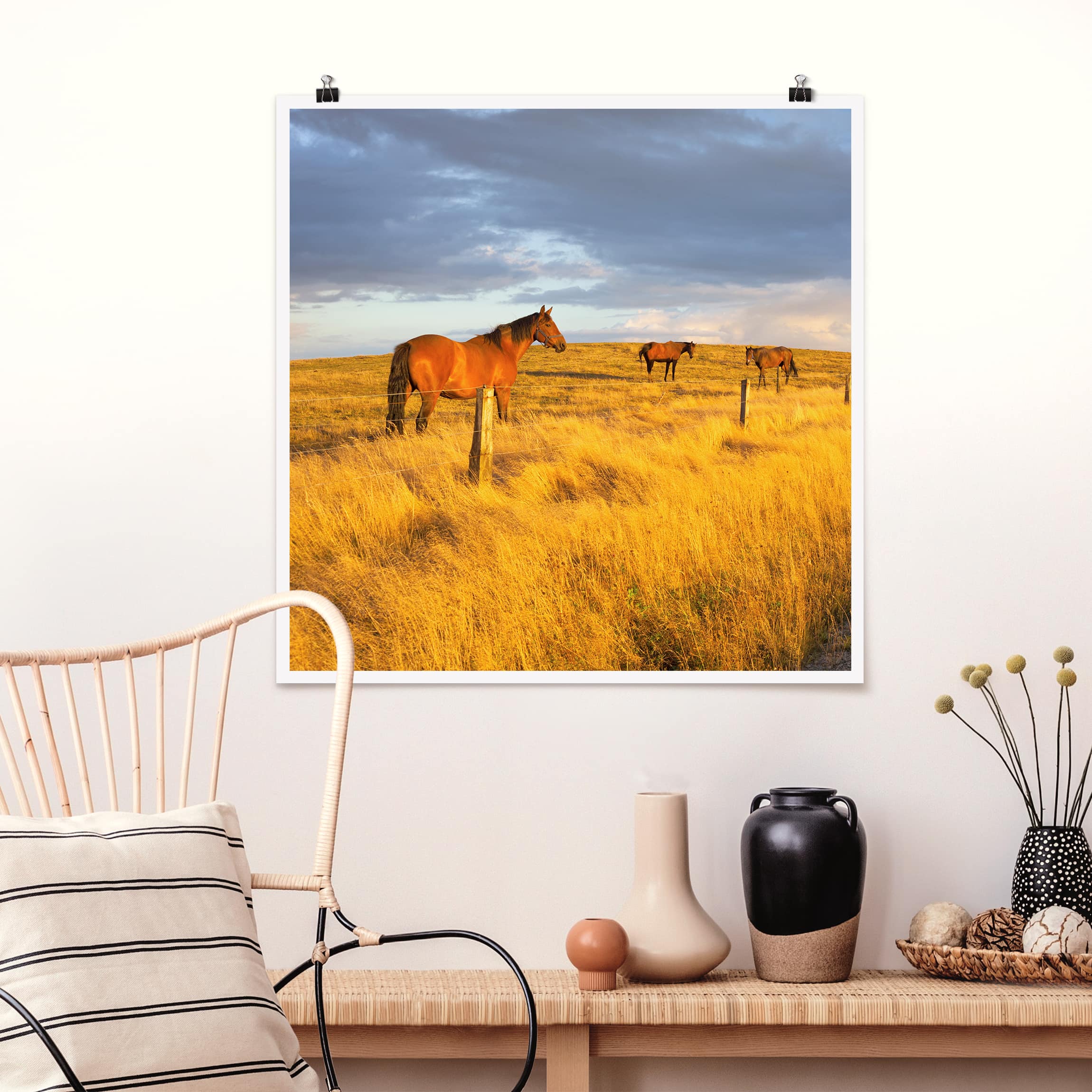 Poster - Quadrat Feldstraße und Pferde bei Abendsonne