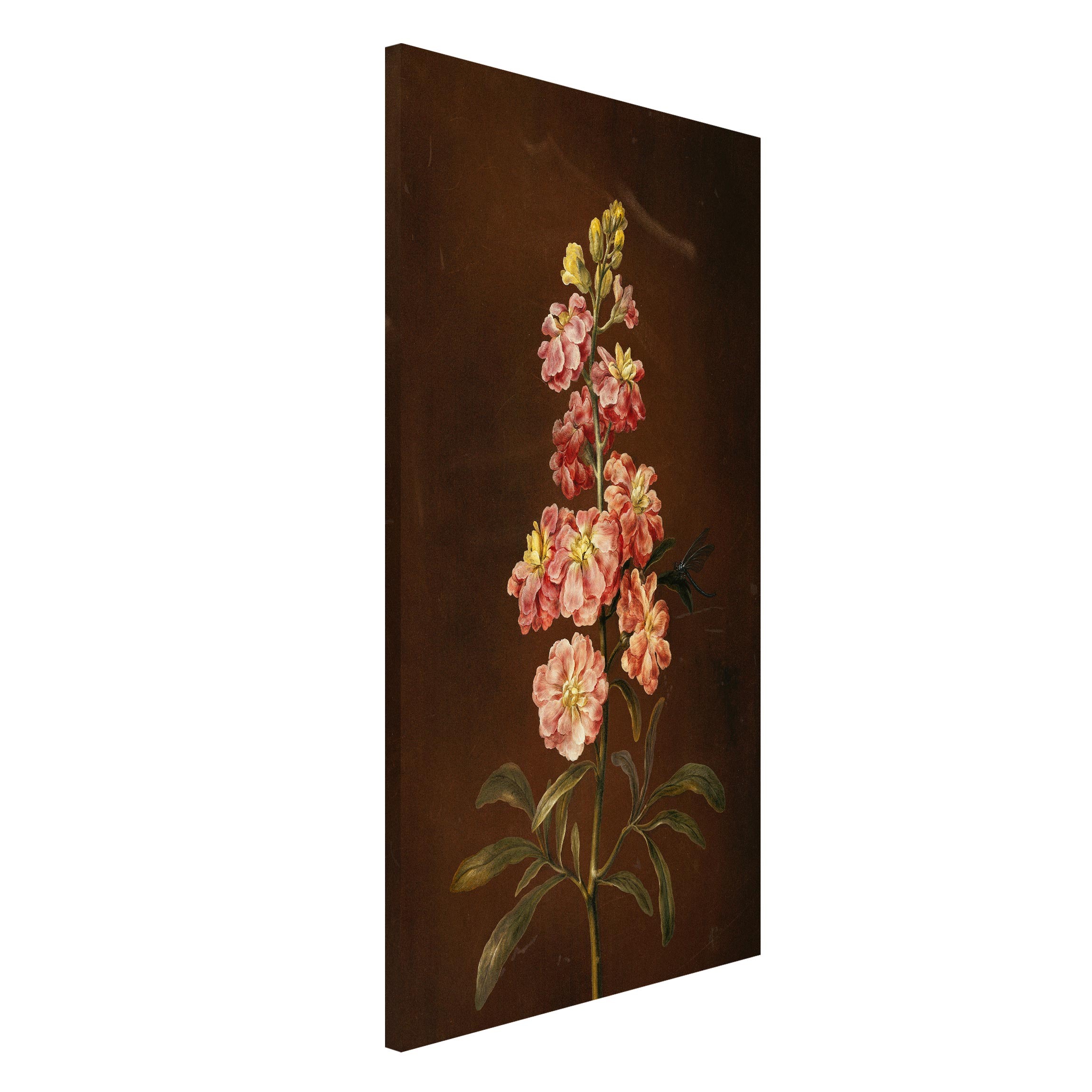 Magnettafel - Hochformat 3:4 Barbara Regina Dietzsch - Eine rosa Garten-Levkkoje