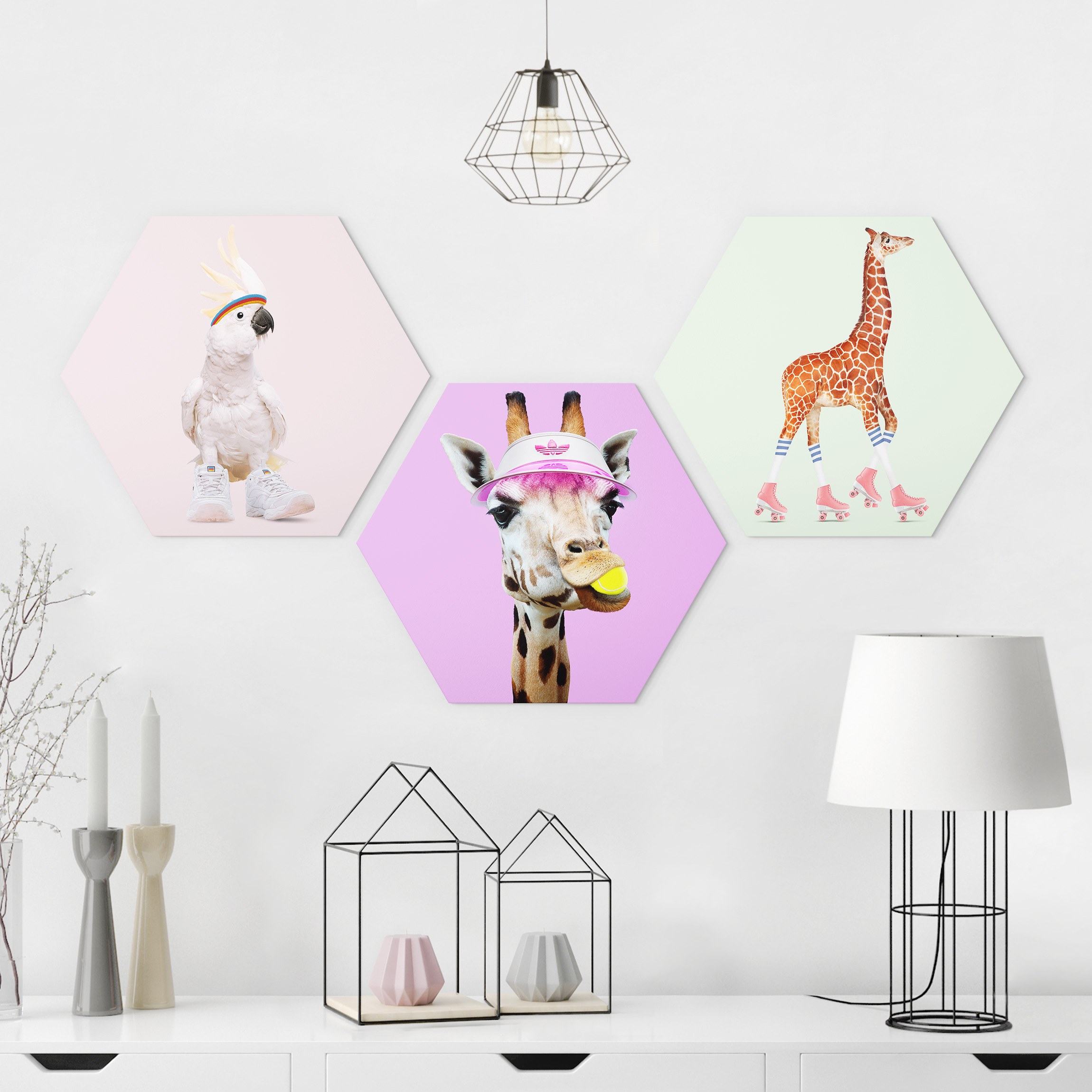 3-teiliges Hexagon-Alu-Dibond Bild Giraffen und Kakadu Sport Set I