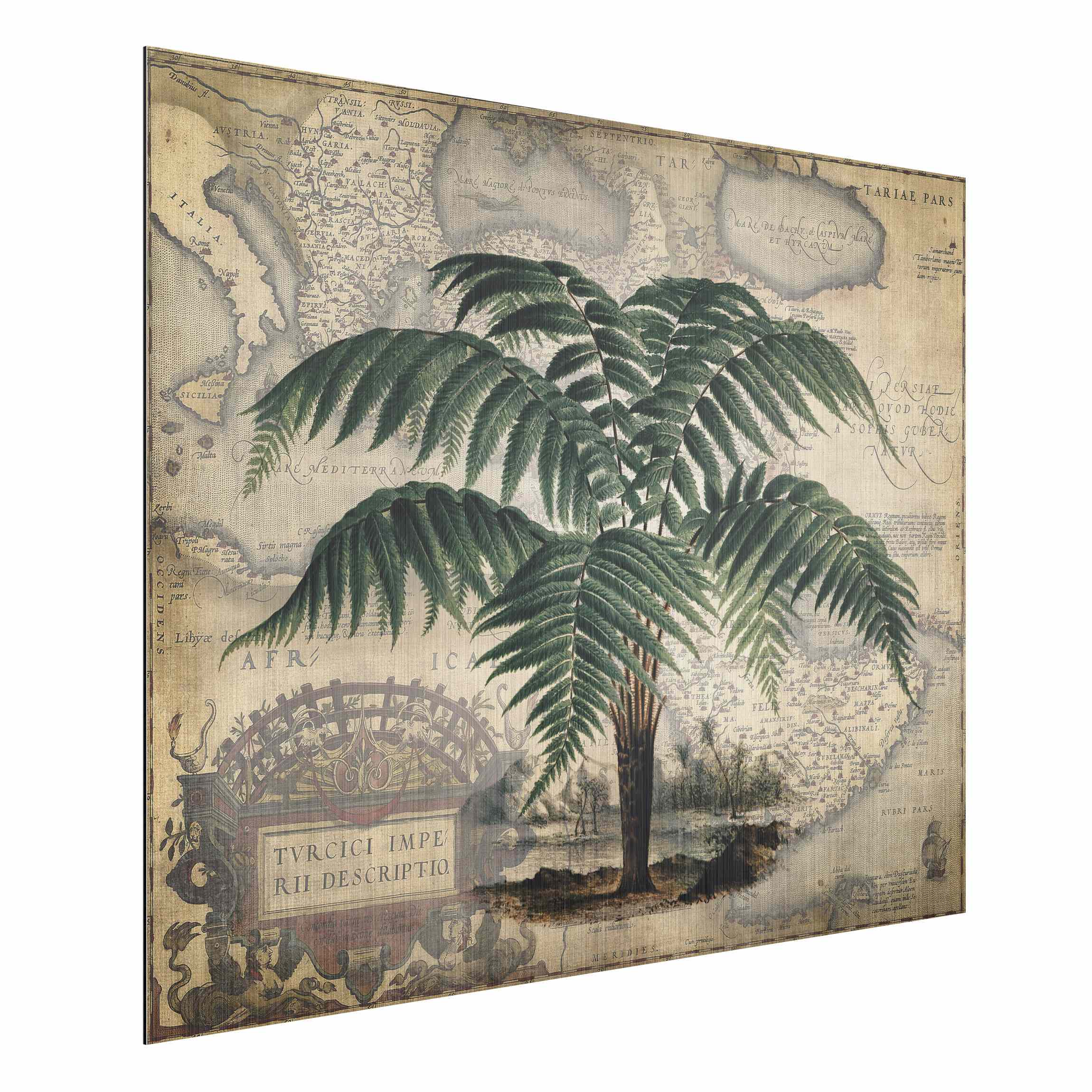 Alu-Dibond Outdoor Bild Vintage Collage - Palme und Weltkarte
