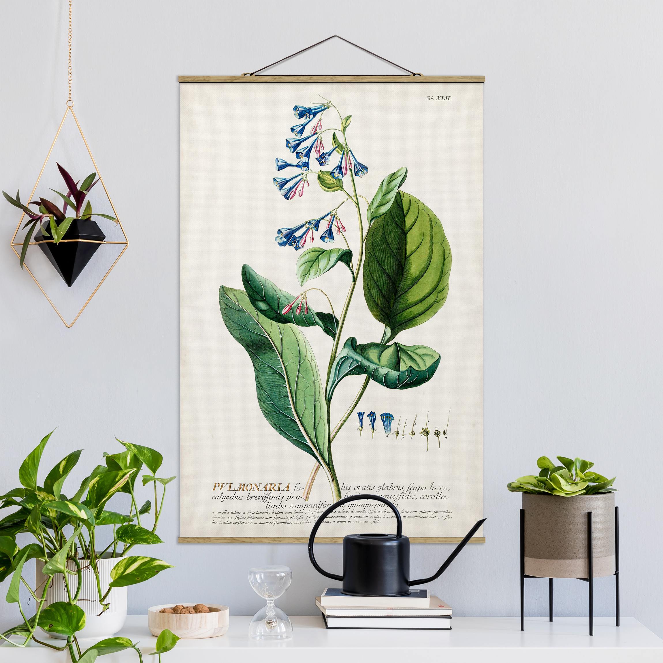 Stoffbild mit Posterleisten Vintage Botanik Illustration Lungenkraut
