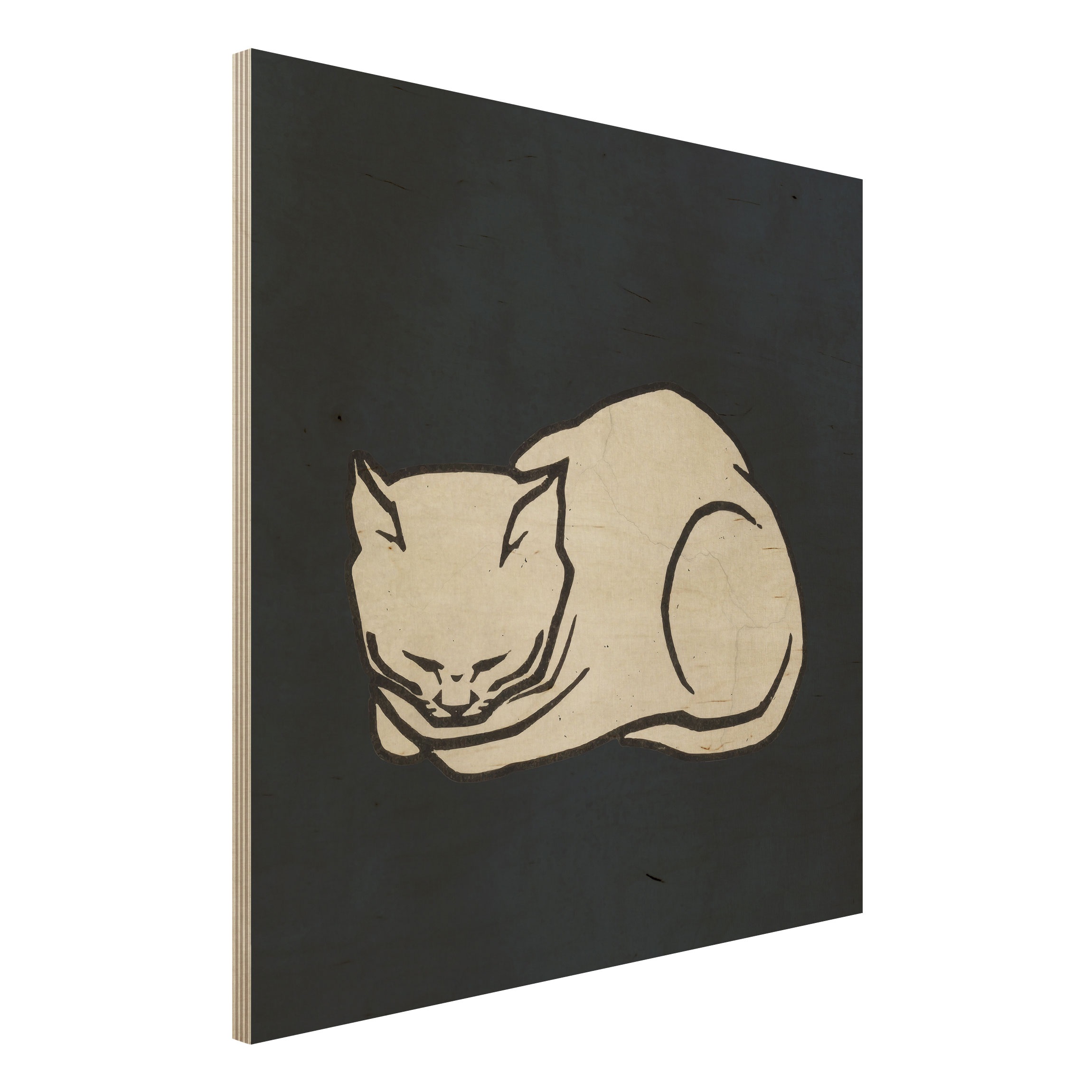 Holzbild Schlafende Katze Illustration