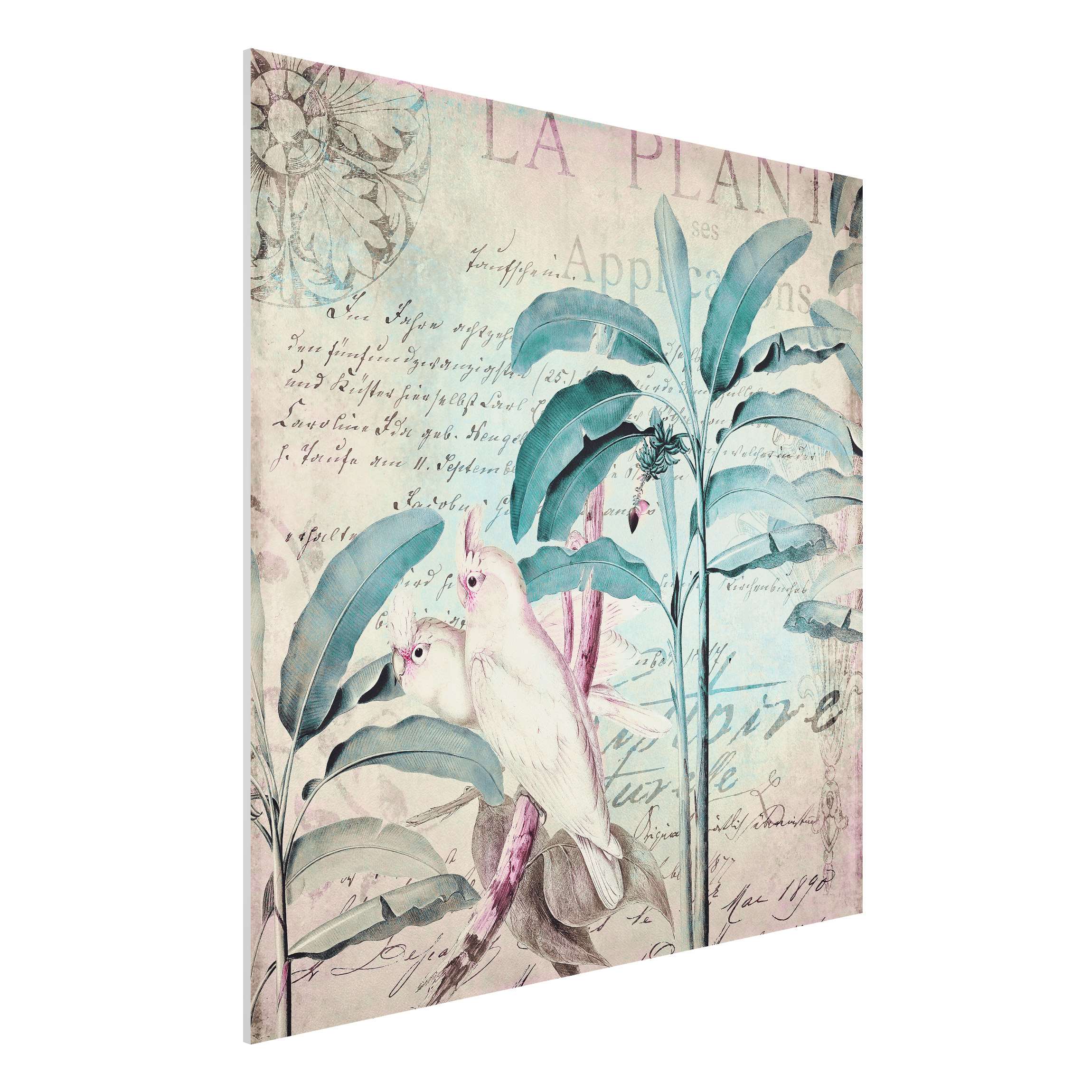 Forexbild Colonial Style Collage - Kakadus und Palmen