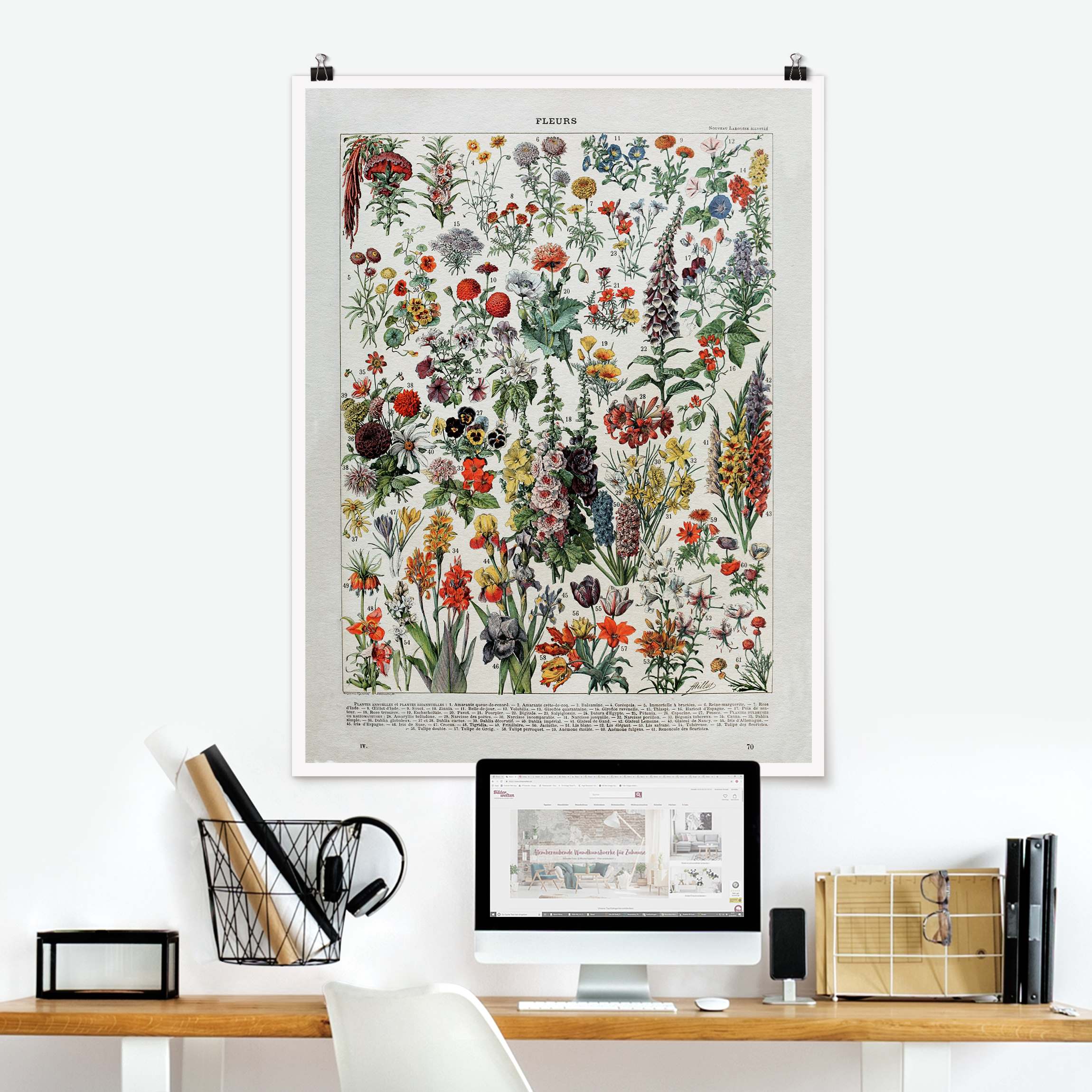 Poster Vintage Lehrtafel Blumen IV