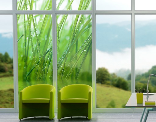 Fensterfolie Morgentau