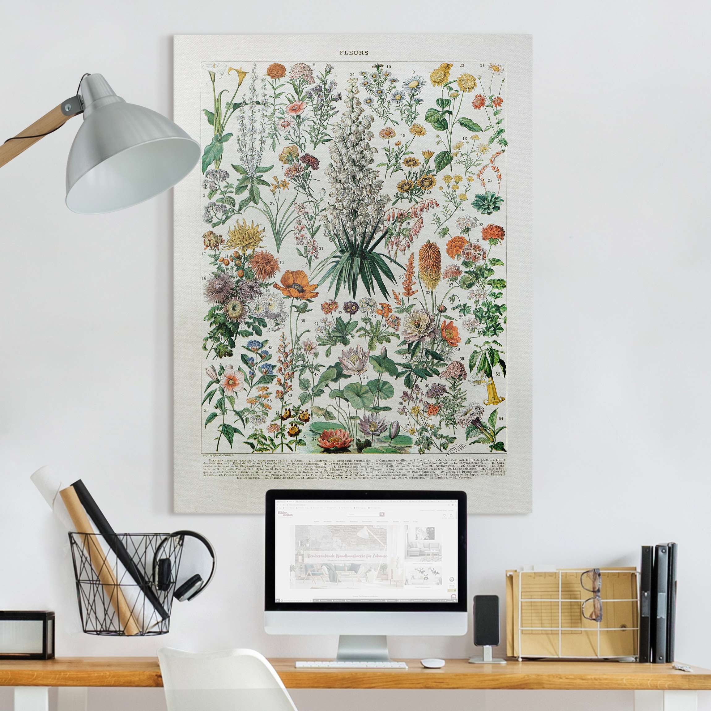 Leinwandbild Vintage Lehrtafel Blumen I