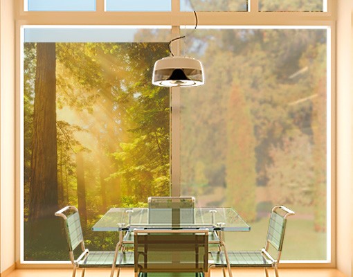 Fensterfolie Morgengold