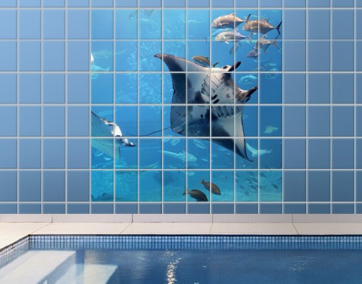 Fliesenbild Manta Ray