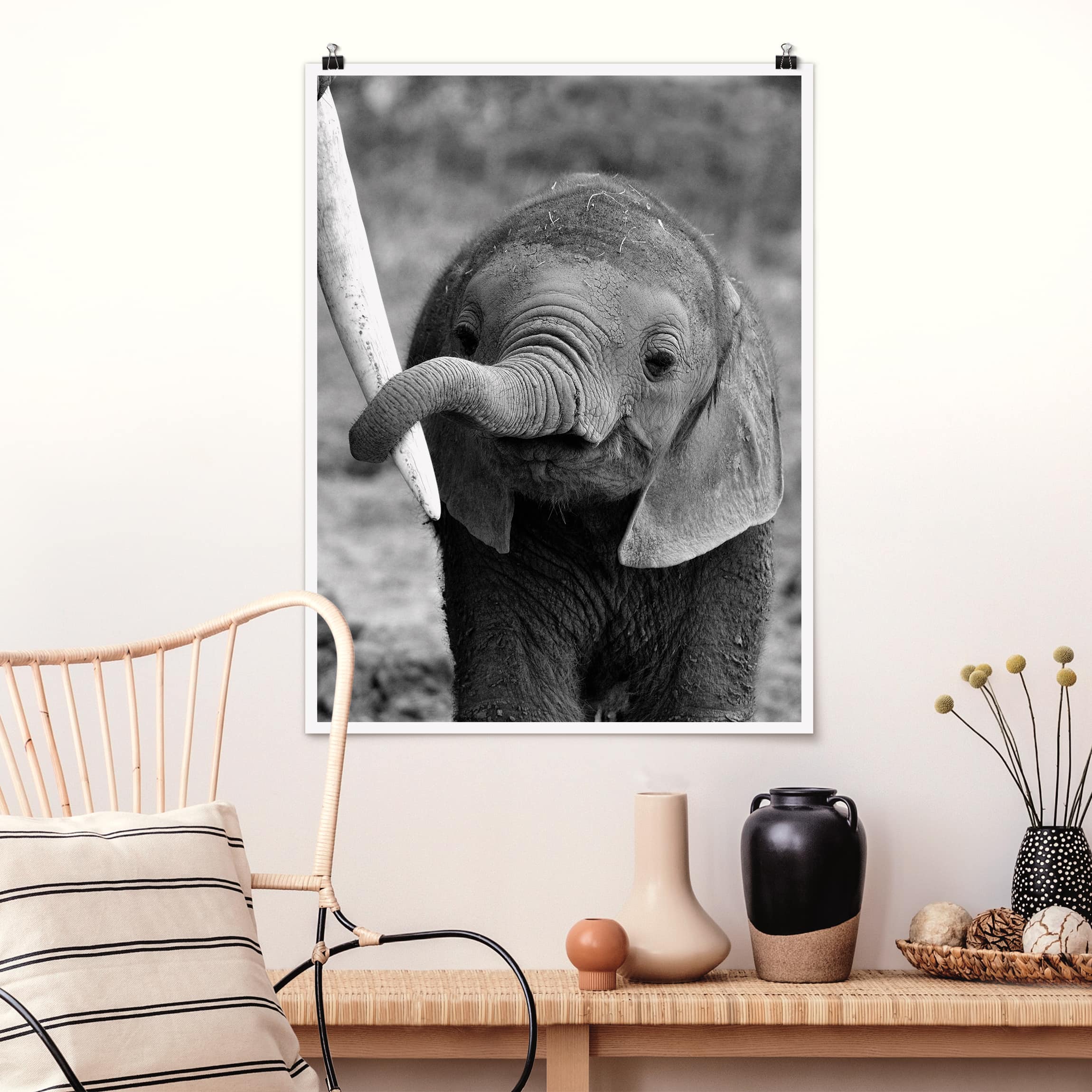 Poster Tiere Elefantenbaby