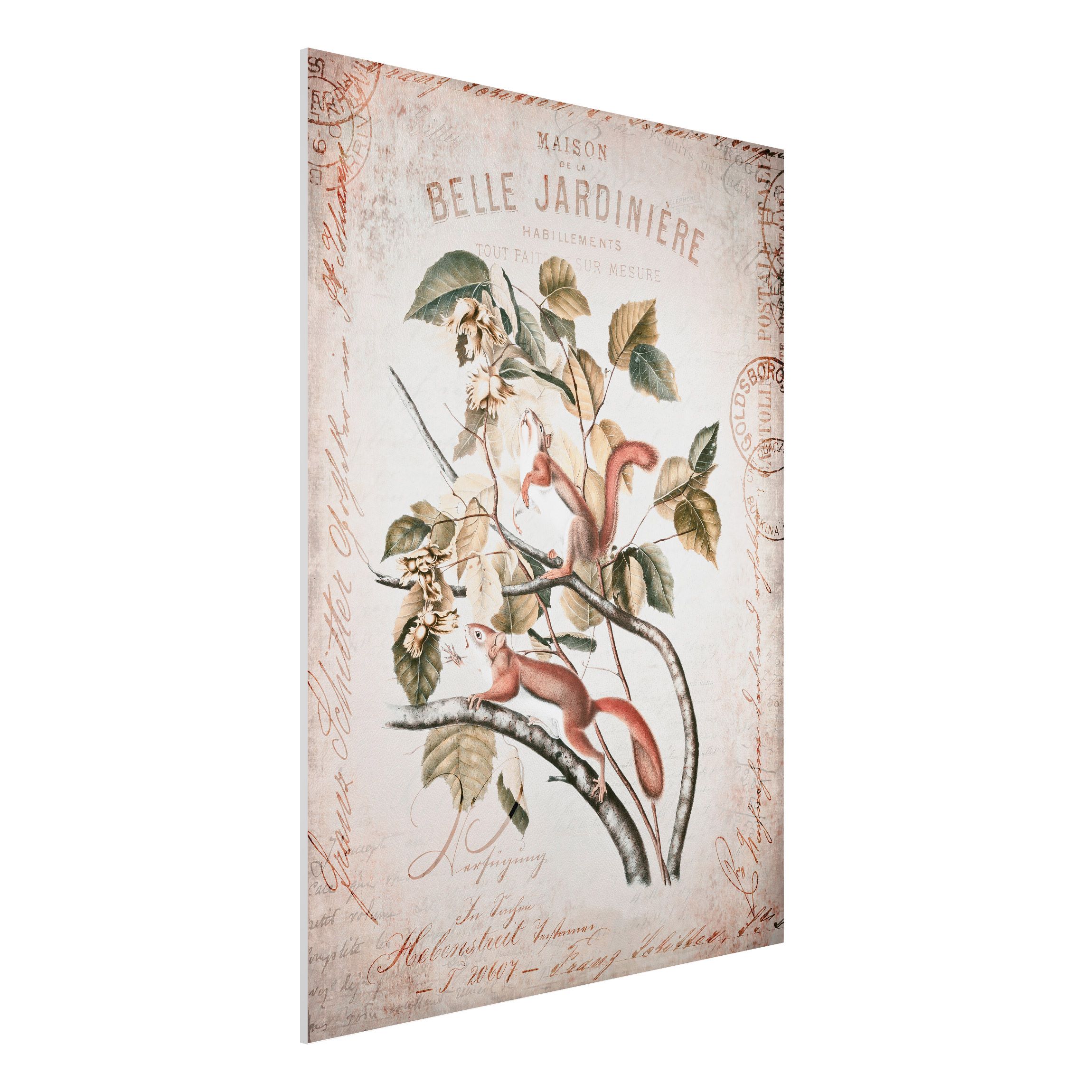 Forexbild Shabby Chic Collage - Eichhörnchen