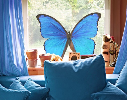 Fensterfolie Blauer Morphofalter