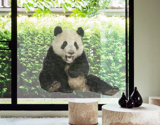 Fensterfolie Lachender Panda