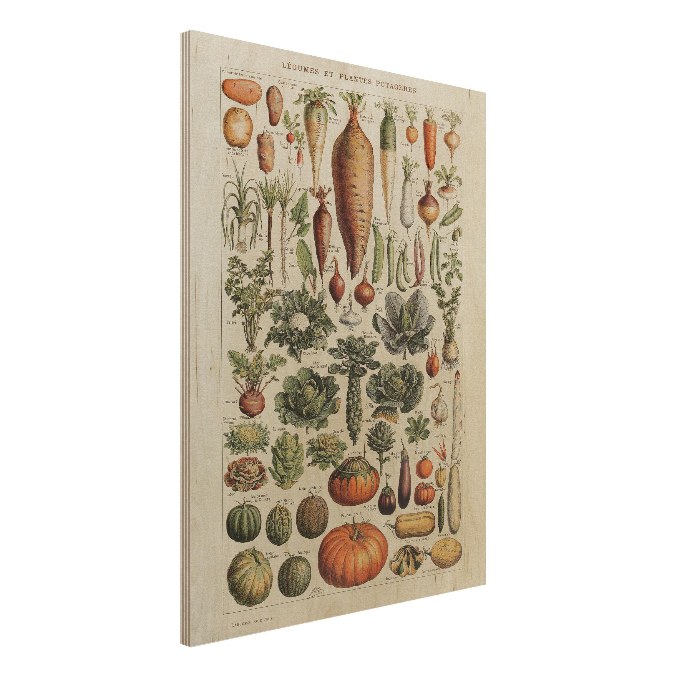 Holzbild - Hochformat 3:4 Vintage Lehrtafel Gemüse
